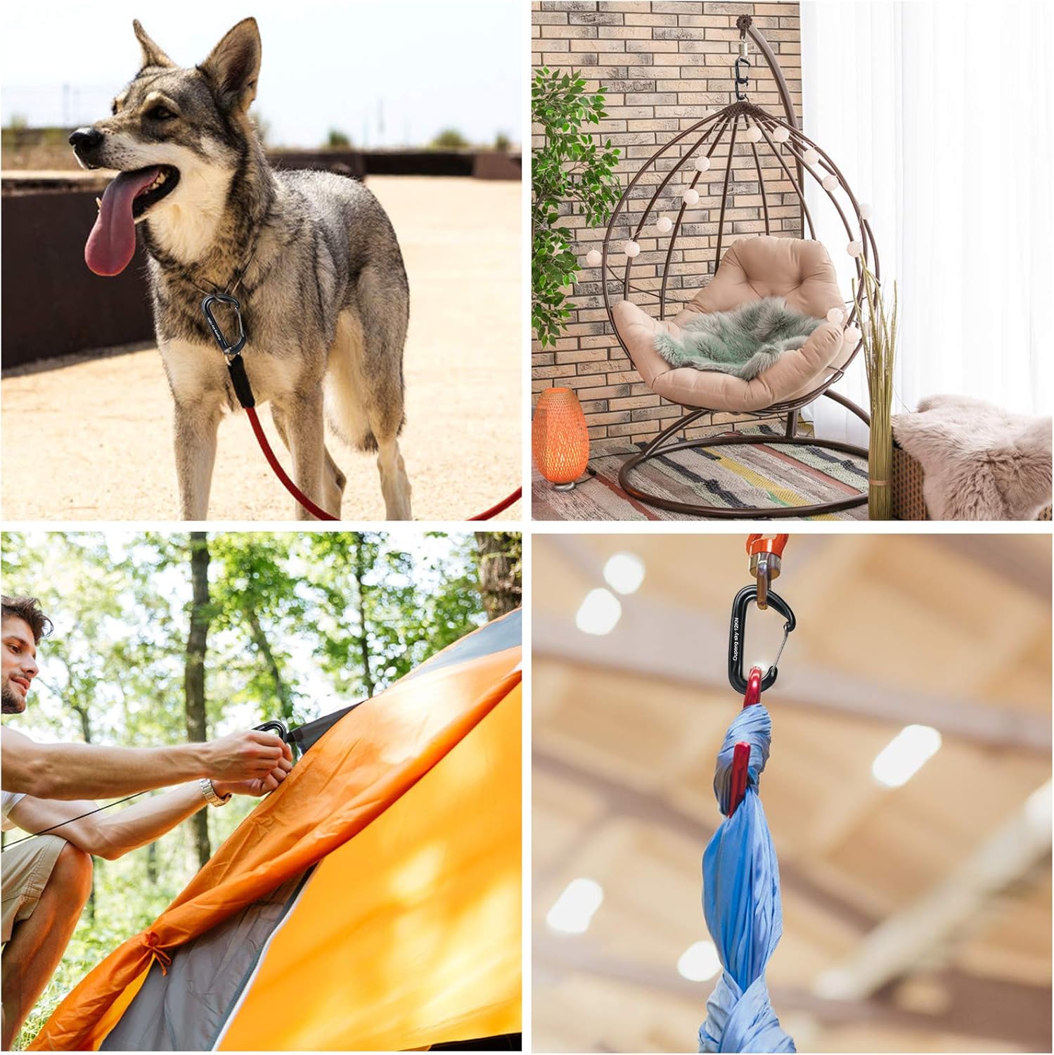 12PCS Carabiner Clips Set - 4pcs 12KN Heavy Duty Caribeaners 8pcs 66lbs Lightweight Caribeener Clips,D Ring Key Clip for Hammocks Camping Accessories Hiking Gym Keychain Locking Dog Leash and Harness : Sports & Outdoors