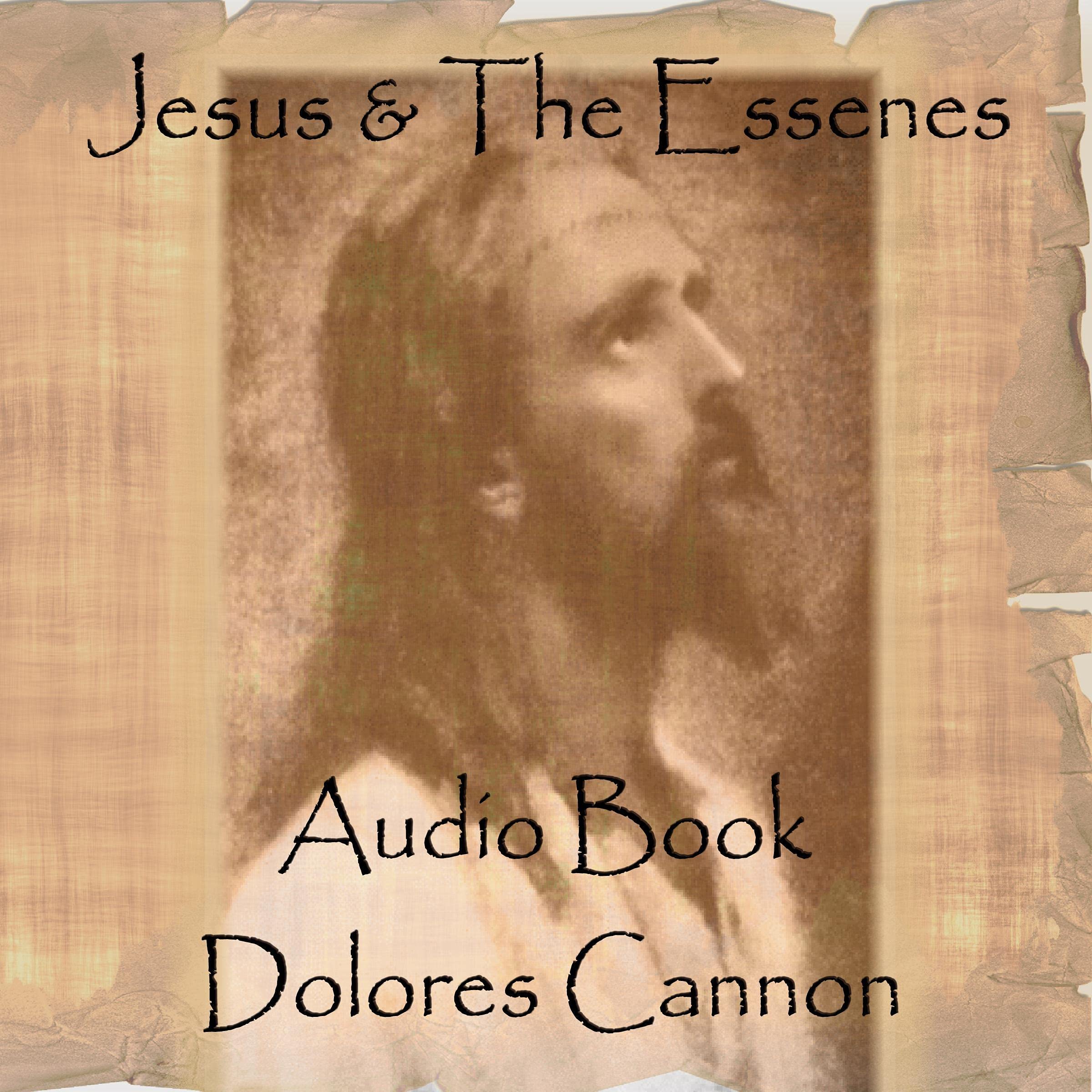 Cover art for Jesus and the Essenes