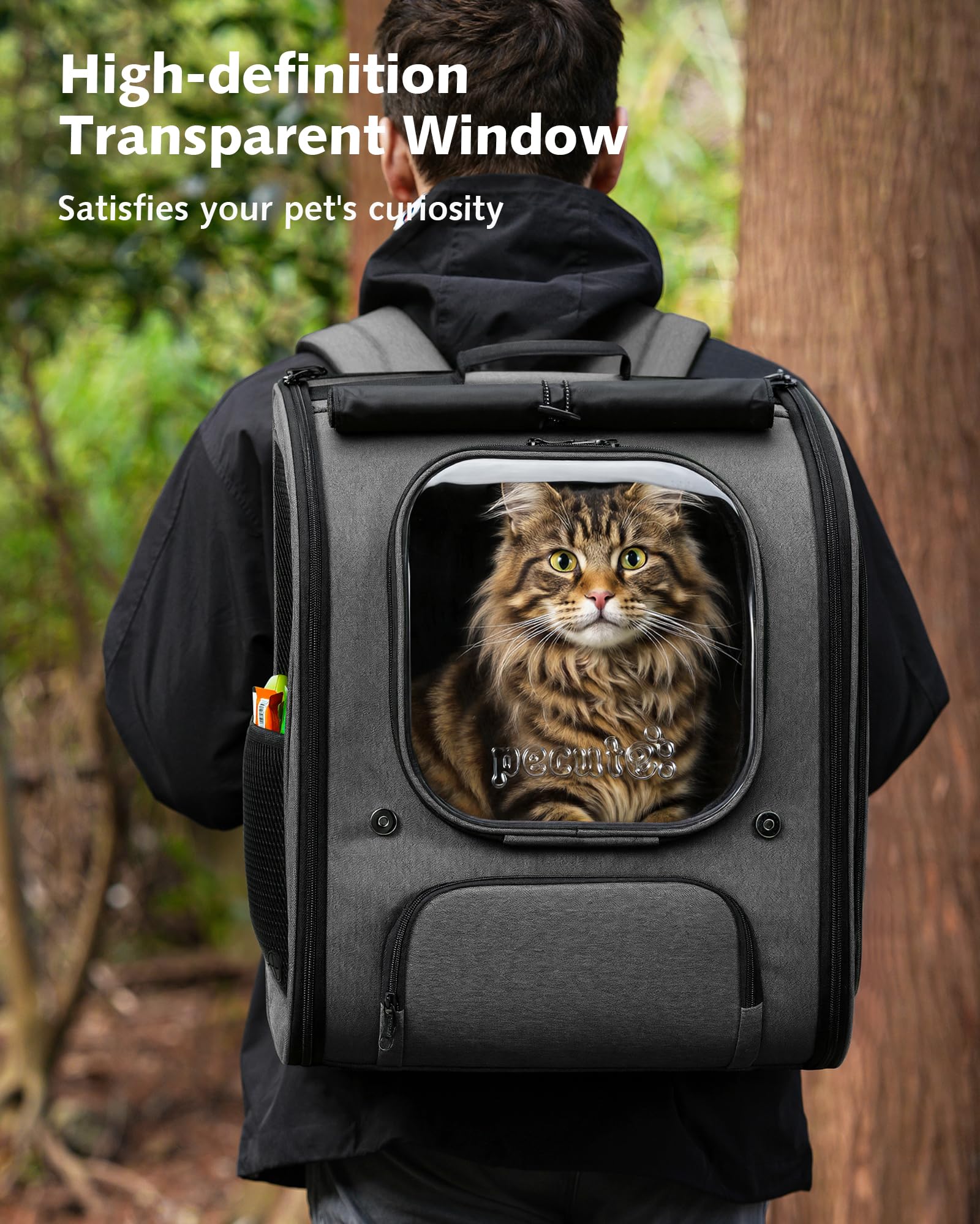 https://m.media-amazon.com/images/I/81LISEsWSYL.jpg