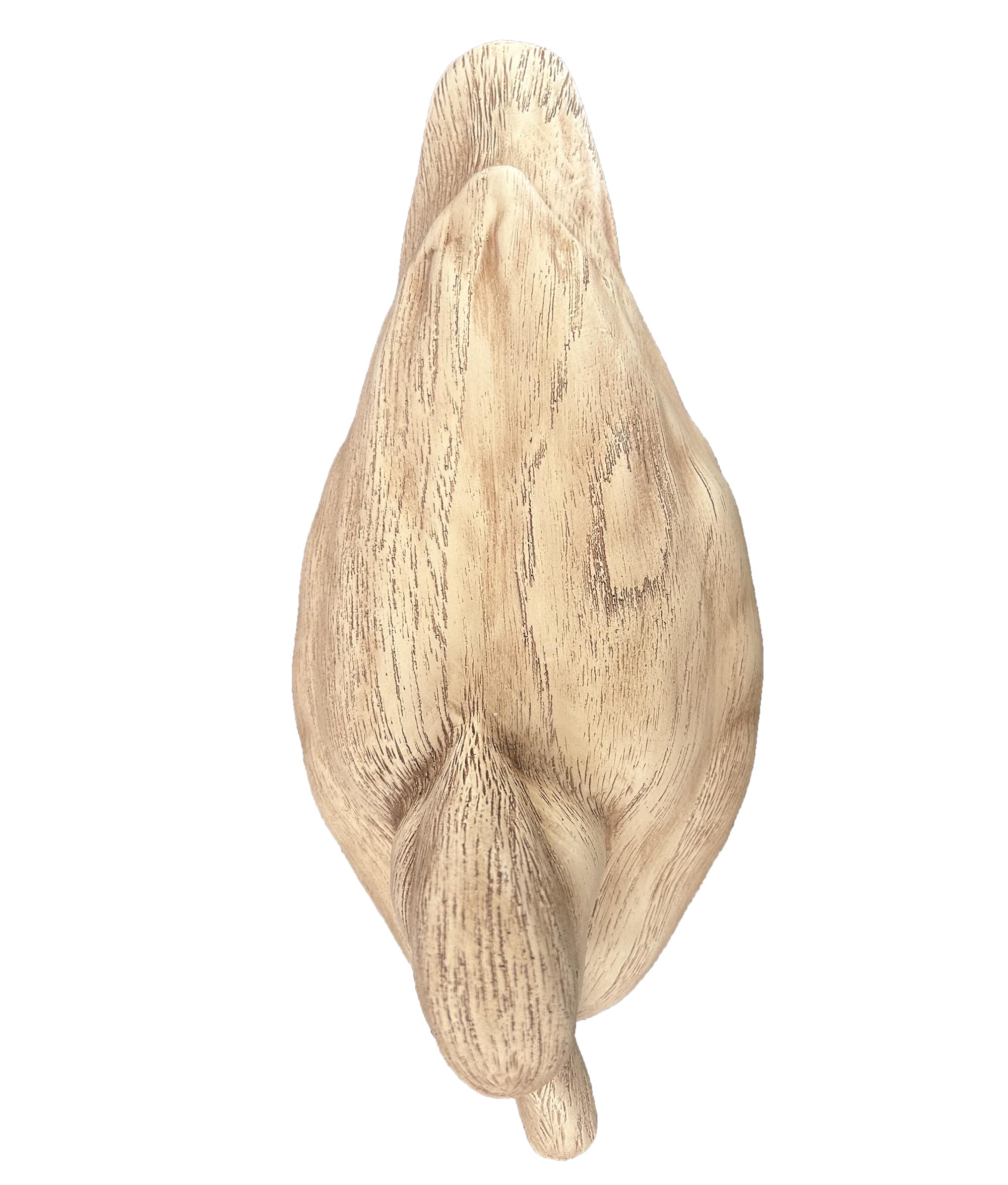 Hymmah Duck Home Decor Statue Rustic Home Decorations for Living Room, Boho Sculpture Resin Animal Collectible Figurines for Indoor Decor (Beige) Product Image 2