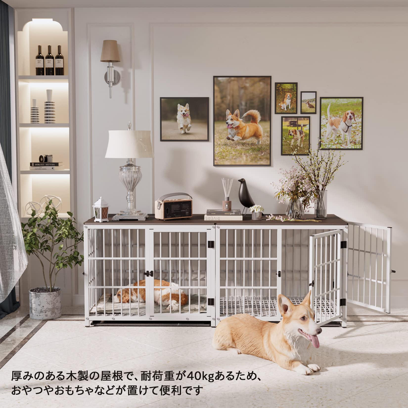 Amazon | BingoPaw 犬用ケージ 屋根付き 小型犬 中型犬 大型 白