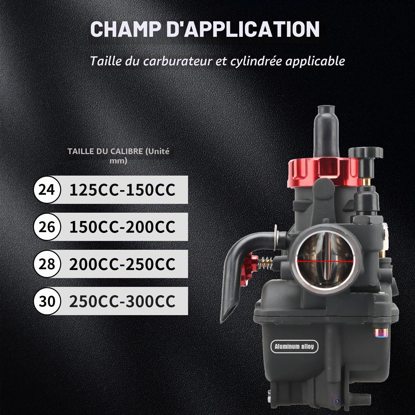 NIBBI Carburateur PE24mm 125-150cc Anodisé Pour Moteurs 4 Temps avec Jets pour Réglage Précis Remplacement Direct pour Moto Cross, Custom, Pit Bike
