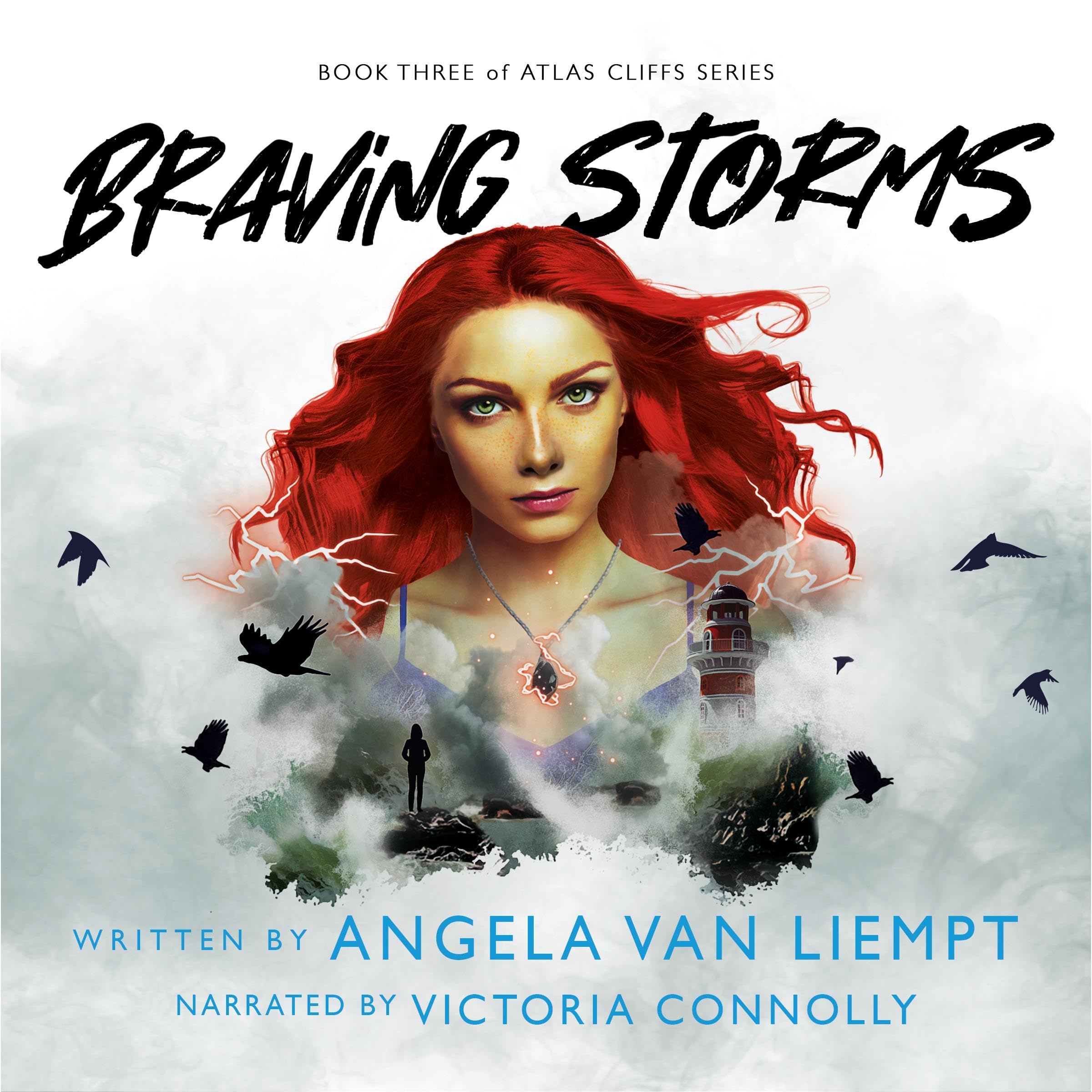 Cover art for Braving Storms