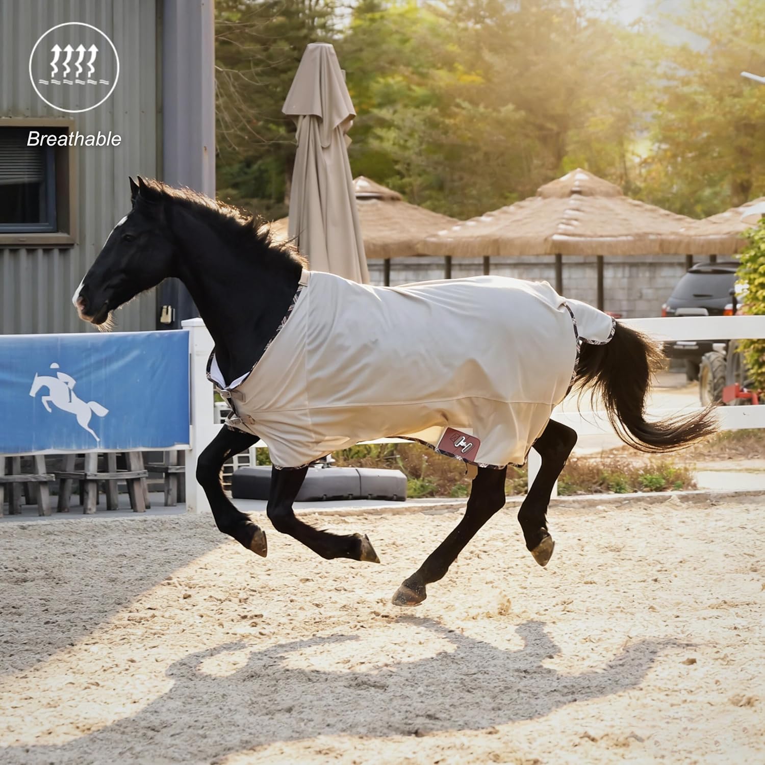 BARN & STABLE Mesh Horse Fly Sheet Breathable UV Protection Lightweight Summer Sheet with Wave-Shaped Hem & Crossed Surcingles,Tear-Resistant for Turnout