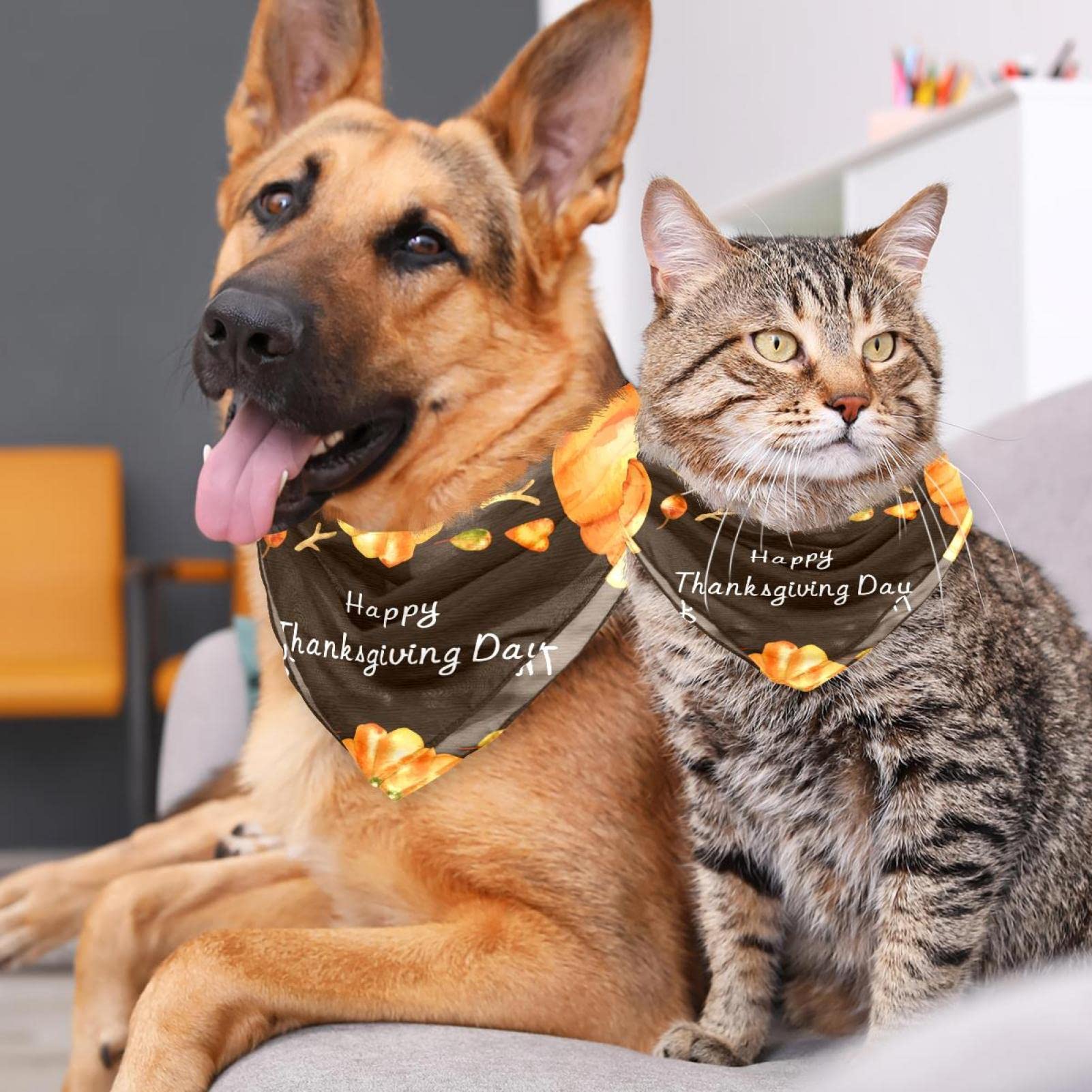 2er-Set Hunde-Halstücher – Wendbar Mit Kürbis & Herbstmotiven, Verstellbar, Für Große Hunde