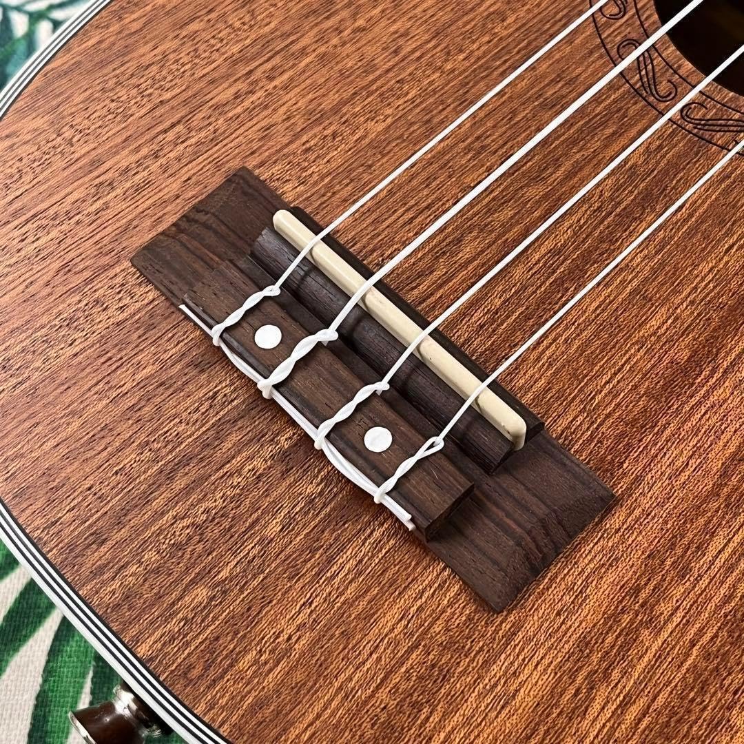 Amazon.co.jp: 【入門セット】Deviser製のパイナップル・ソプラノ