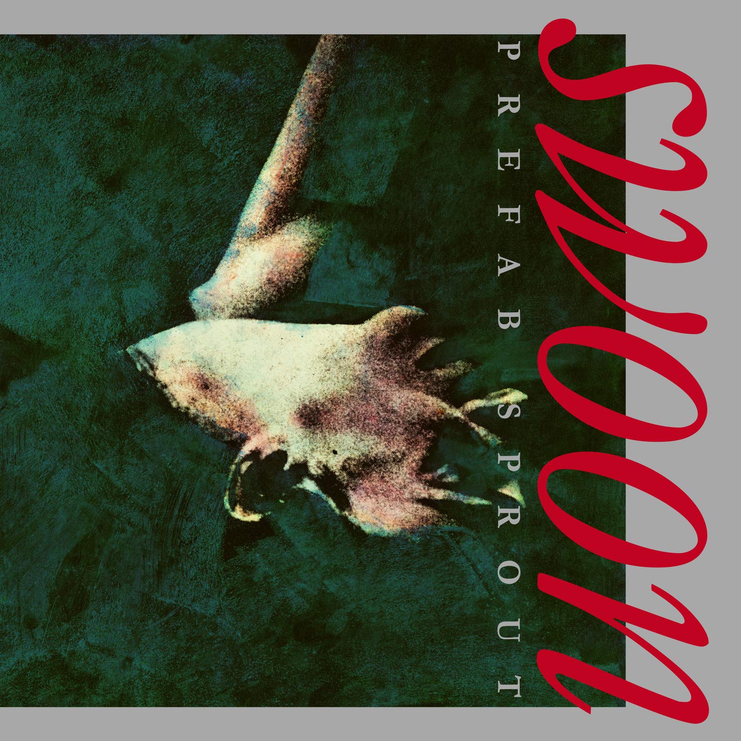 Swoon [VINYL]