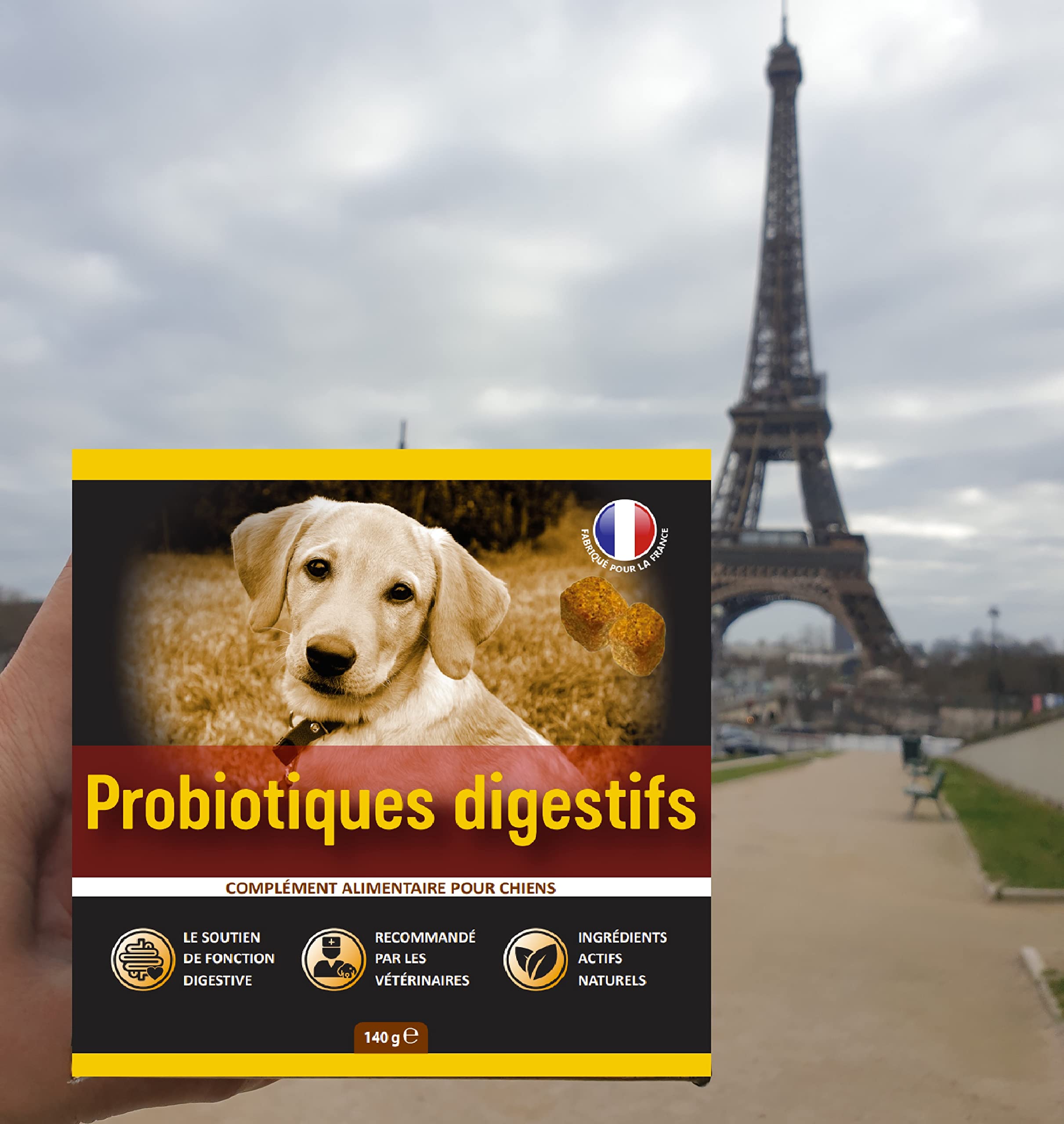 Traitement Chien probiotique – 60 croquettes Naturelles probiotique Flore intestinale Chien - Goût Bacon (Francais)