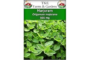 Marjoram Seeds for Planting: 500 Mg (2000 Heirloom Seeds) of Origanum Majorana