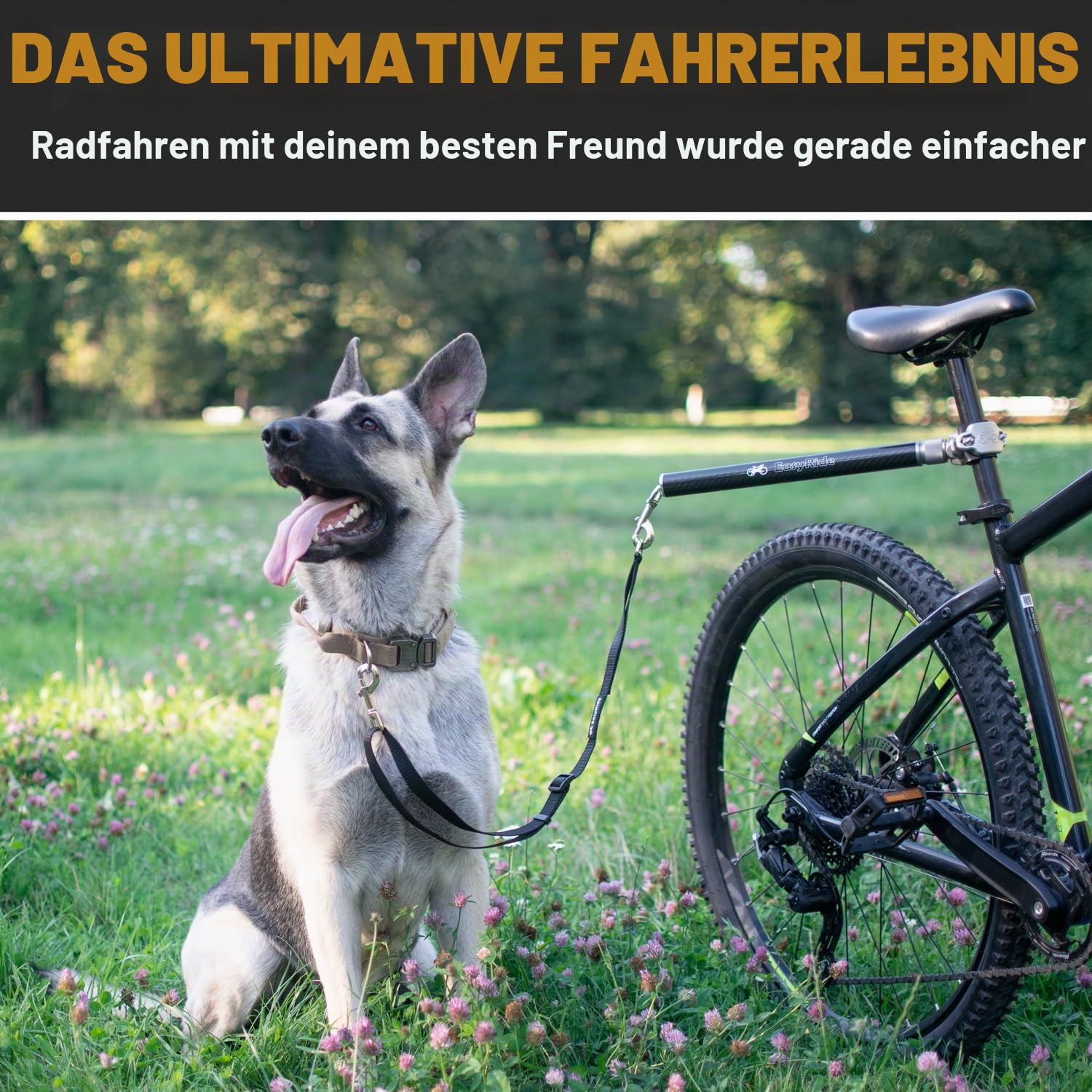 Freihandleinen für Hunde -180° drehbare Hunde Fahrradleine - mit Stoßdämpfern und Schnell Befestigungsmechanismus (Schwarz)
