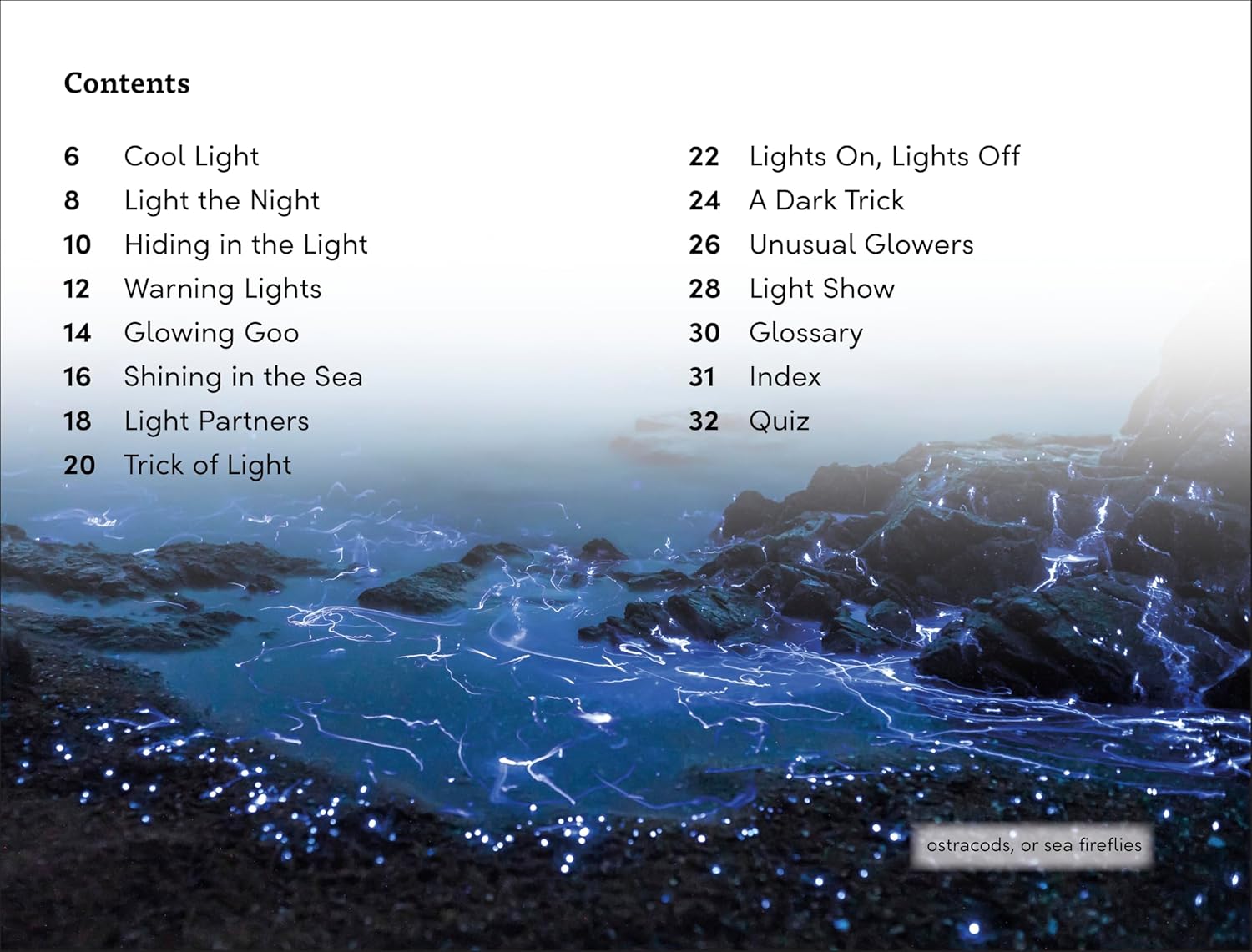 DK Super Readers Level 3 Bioluminescent Animals - Image 2