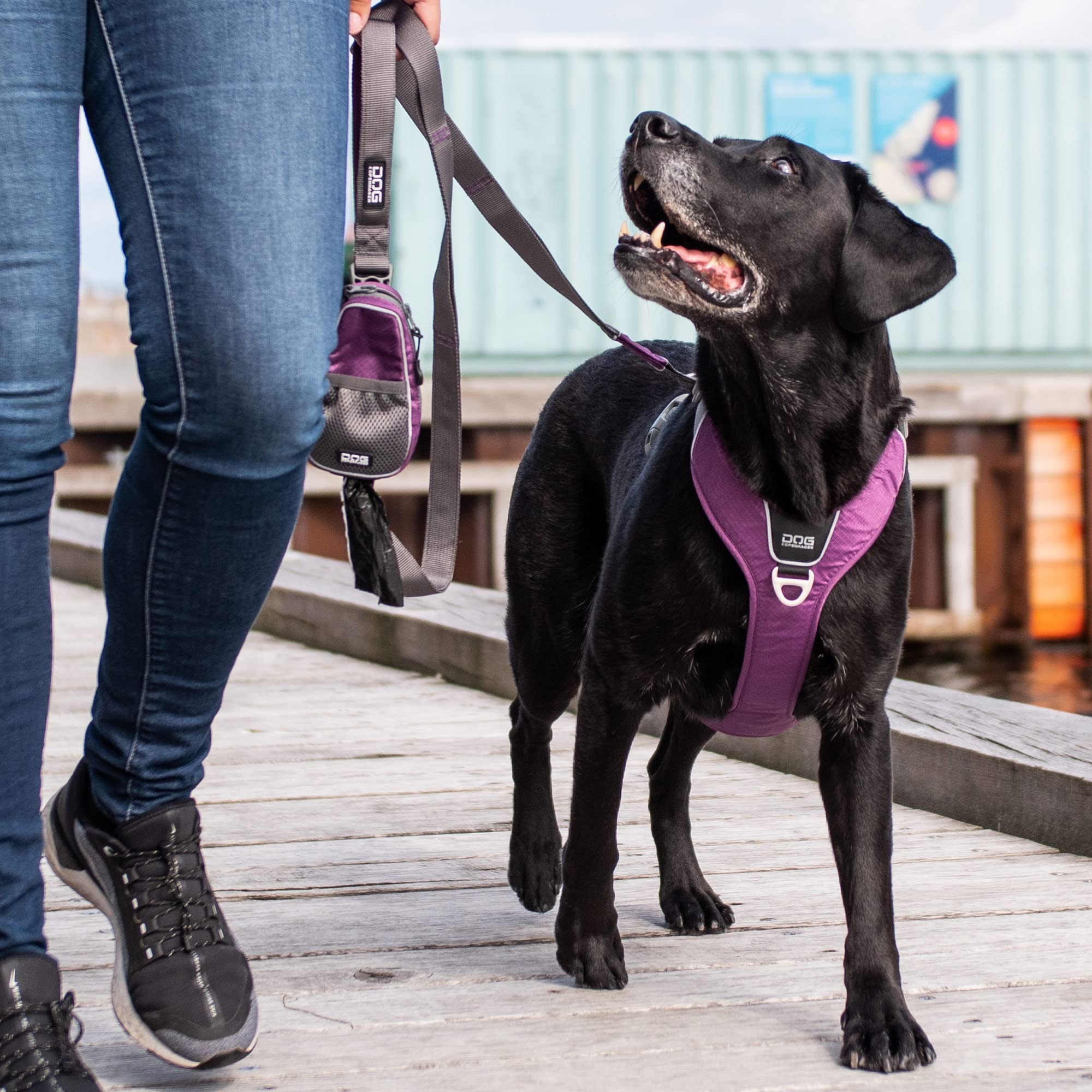 DOG Copenhagen Hundeleine V2 Urban Trail Leash Wild Rose Größe S