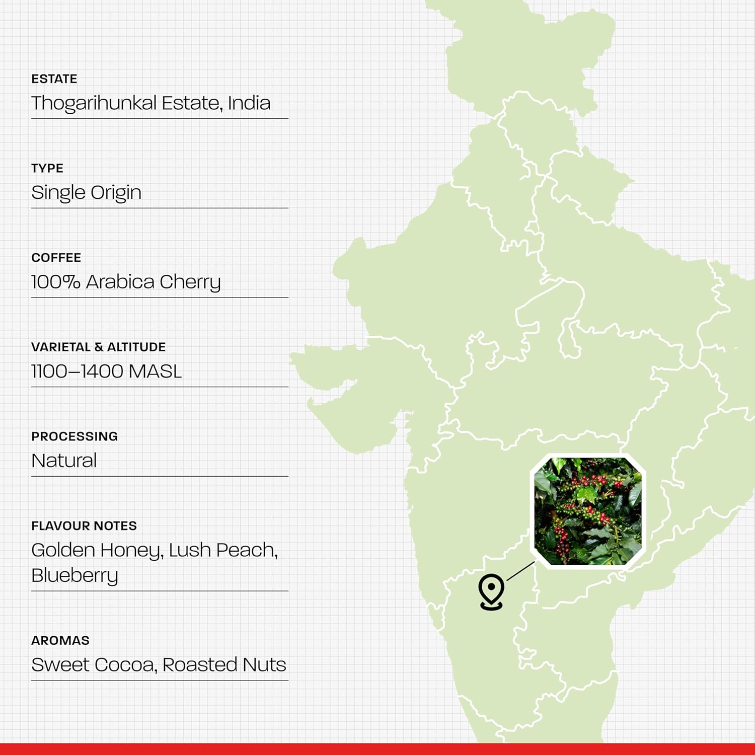 Tavaasa Engineered Specialty Coffee 30x11g Drip Bags |Roast #43, Rustic Harmony|84+,GoldenHoney, Lush Peach & Blueberry|Single-Serve Pour Over|Nitrogen-Flushed Sachets|SO, 100% Arabica, Hot Brew, 330g