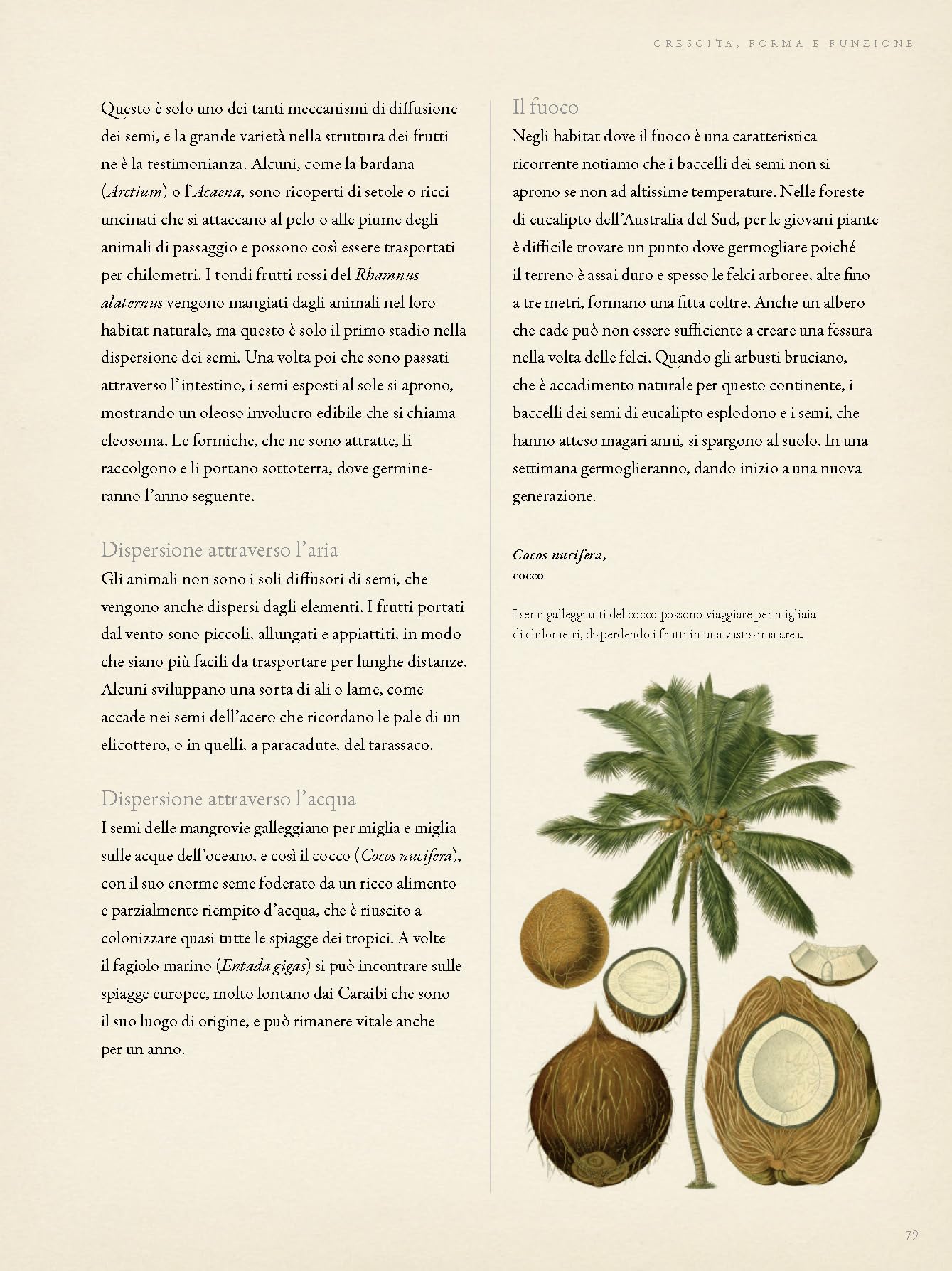 Botanica per giardinieri. L'arte e la scienza del giardinaggio spiegate e raccontate