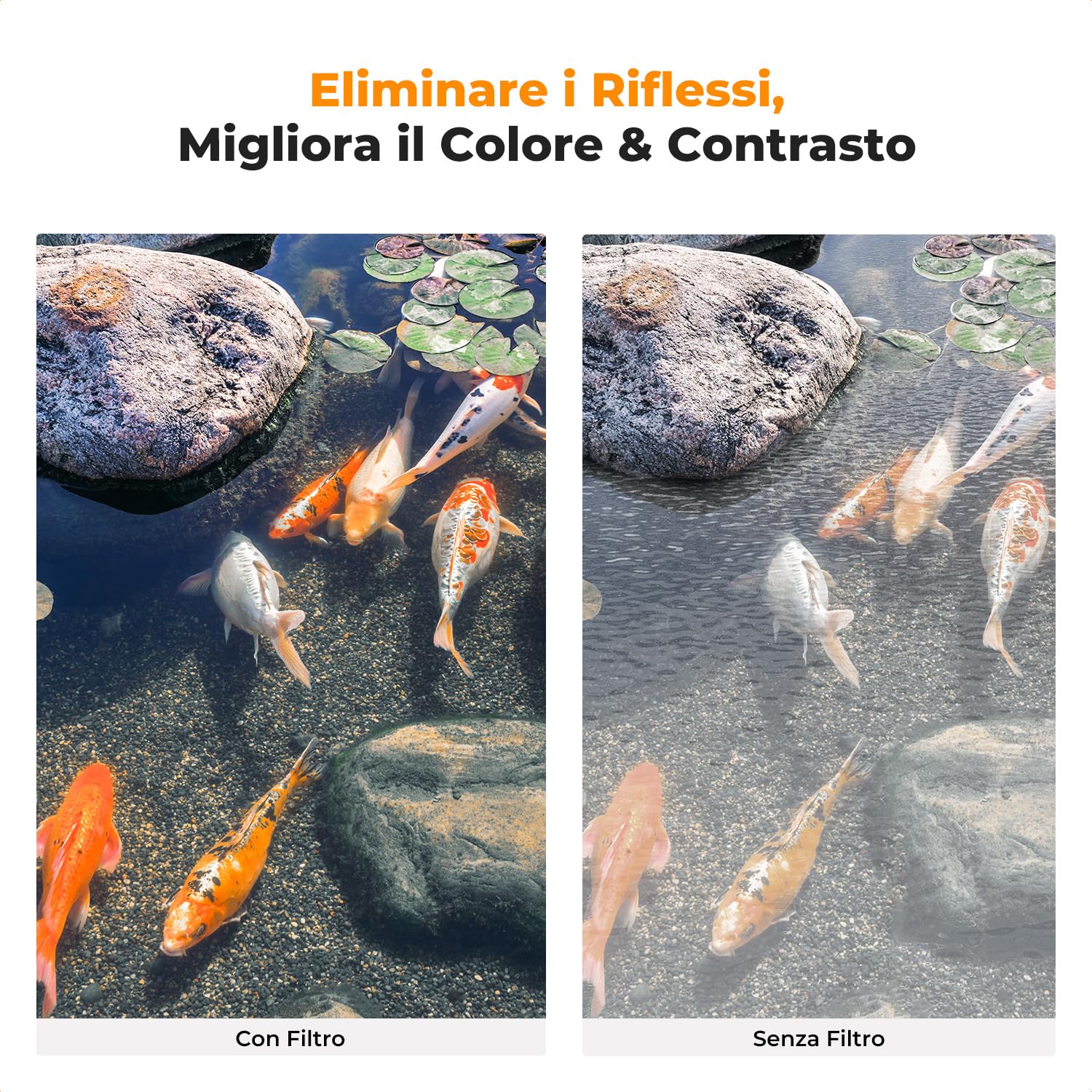 K&F CONCEPT Nano-D Filtro Polarizzatore Circolare 55mm CPL in Vetro Ottico con Nano-rivestimento a 24 strati per obiettivi 55mm