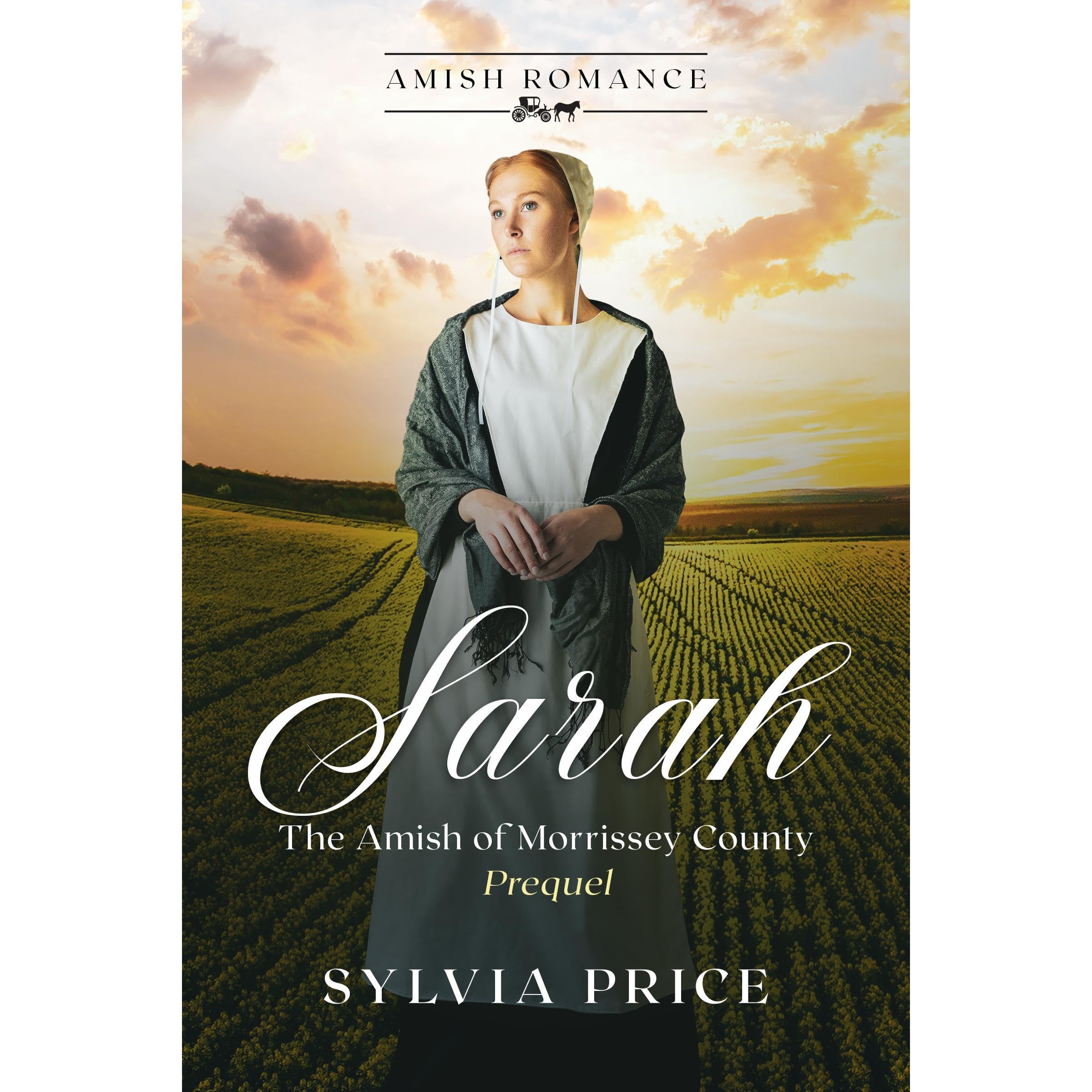 Sarah (The Amish of Morrissey County Prequel)