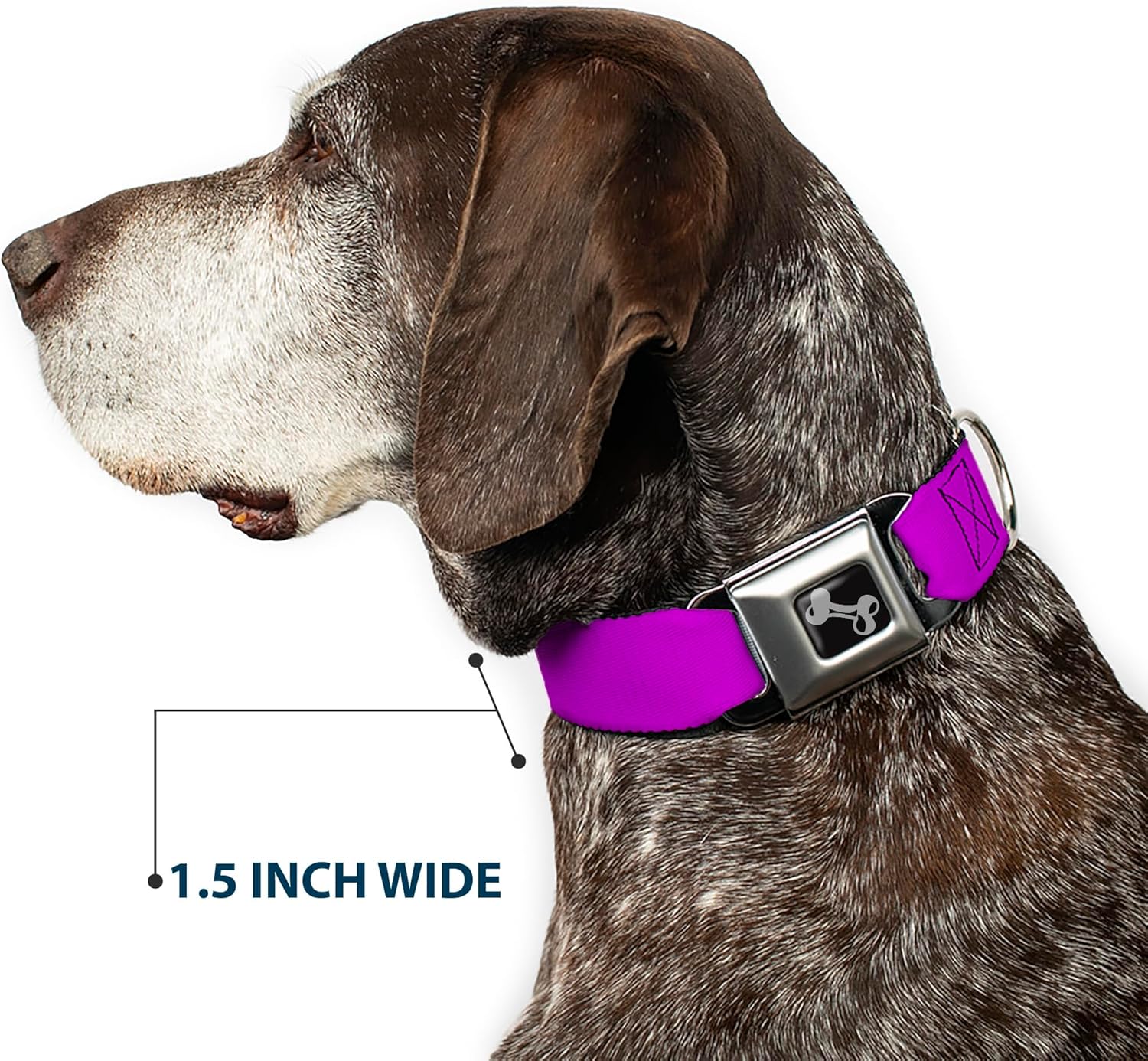 Buckle-Down Dog Collar Seatbelt Buckle Neon Purple, Multicolor, 1.5"" Wide - fits 18-32"" Neck - Large (DC-W31416-WL)