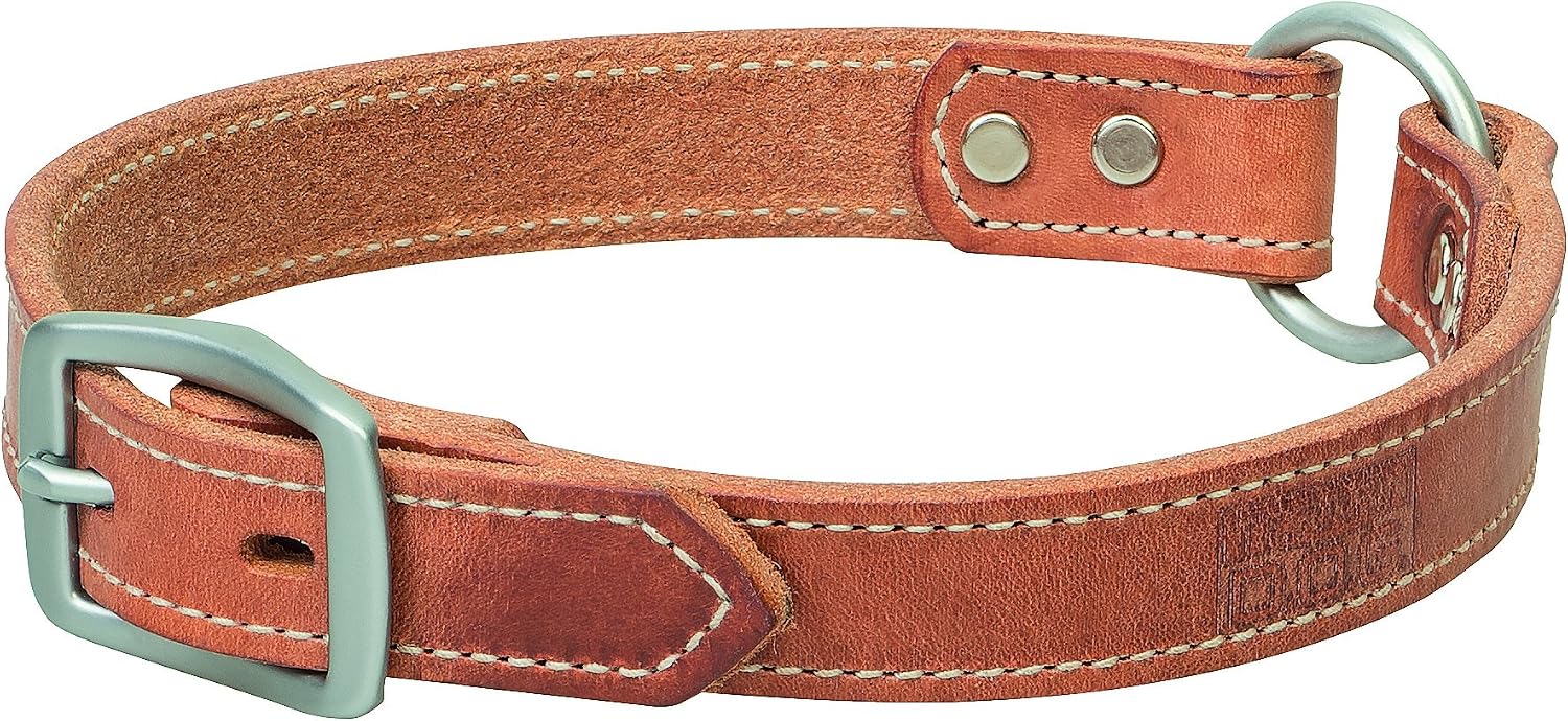 Terrain D.O.G. Bridle Leather Ring-In-Center Dog Collar