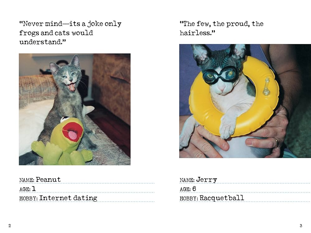 Amazon | Bad Cat: 244 Not-So-Pretty Kitties And Cats Gone