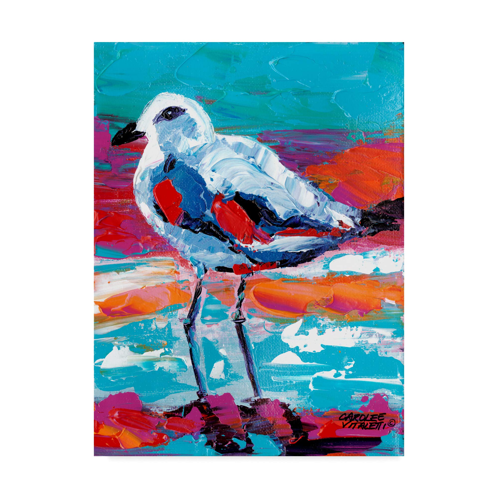 Trademark Fine Art Seaside Birds I by Carolee Vitaletti, 18x24