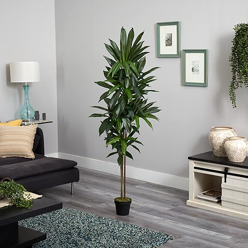 Vista 22 de Nearly Natural Planta artificial Dracaena de 56 pulgadas (tacto real)