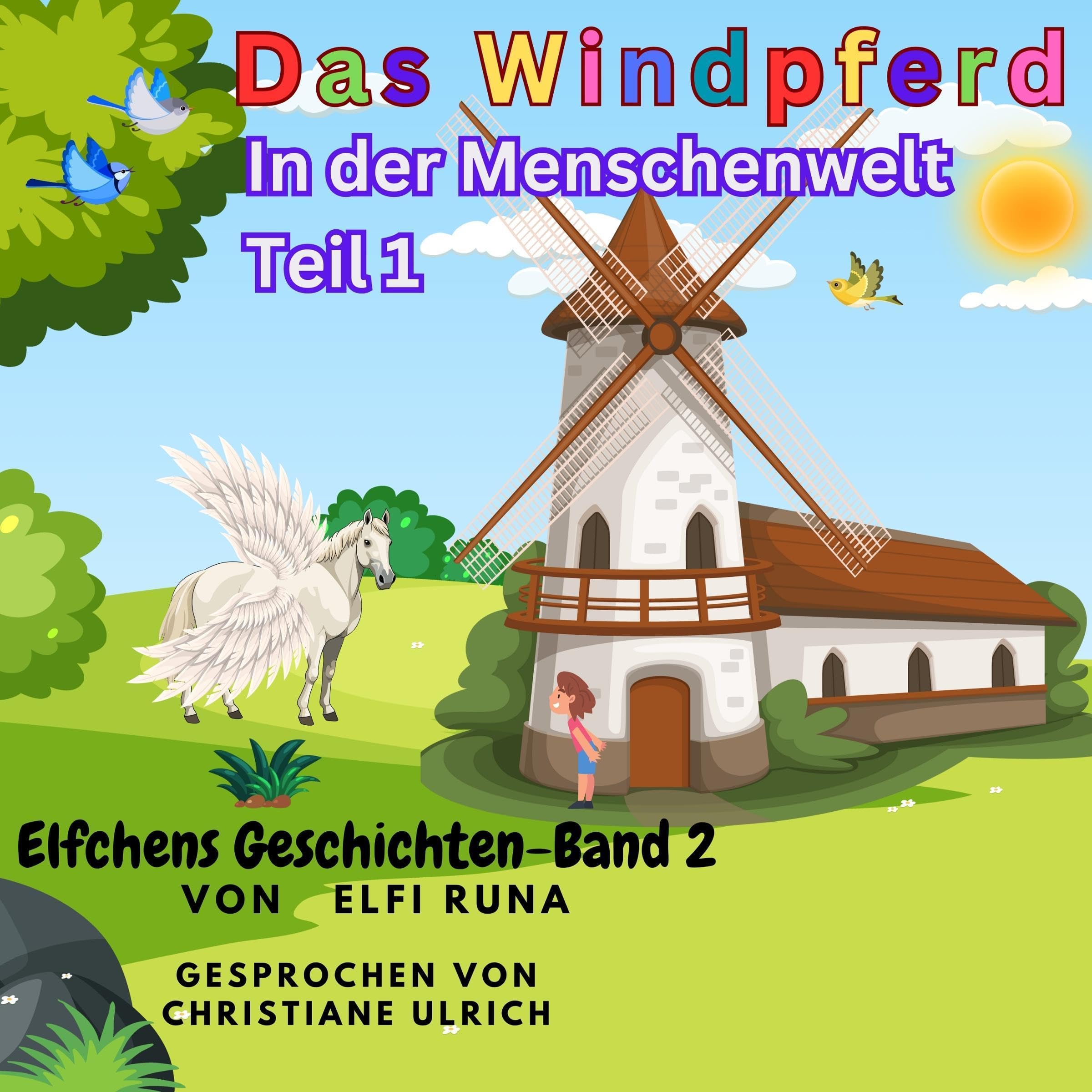Cover art for Das Windpferd [The Wind Horse]