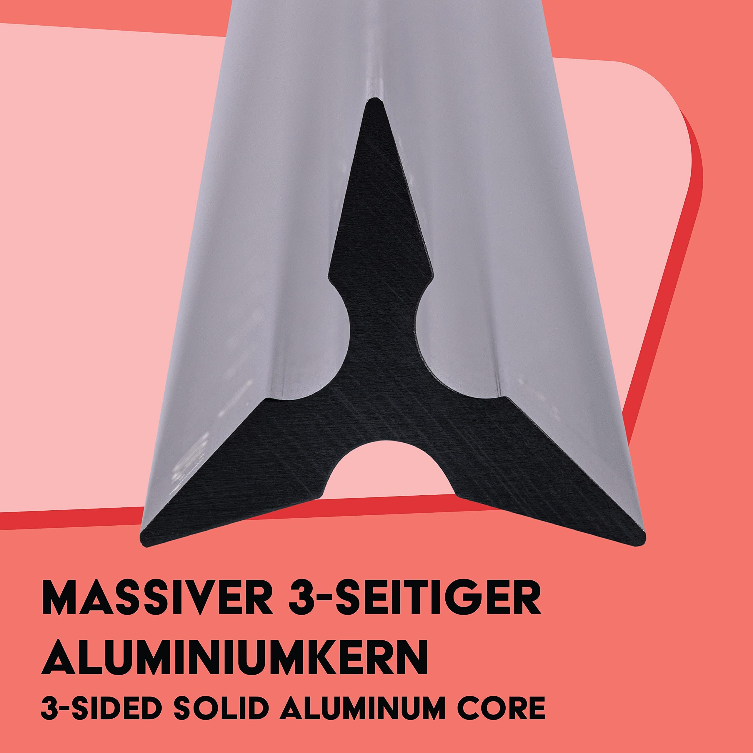 WINTEX Escalímetro Profesional - Regla Triangular de Aluminio - 30 cm - 1:20 1:50 1:75 1:100 1:125 - Con Bolsa de Transporte