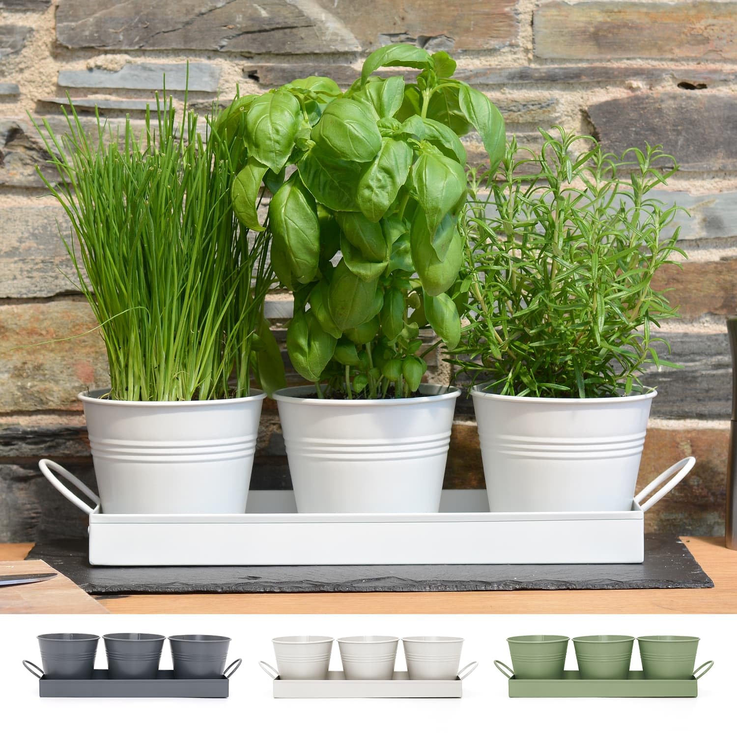Ckb Ltd White Set Of 3 Metal Herb Plant Pots With Drip Tray Traditional Indoor Windowsill Coloured Planter Box For The Kitchen Grow Your Own Herbs For Cooking (White)