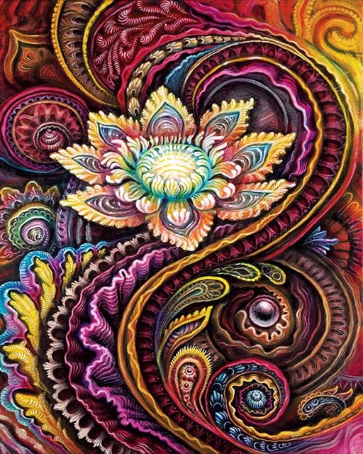 TISHIRON Paint by Number for Adults, DIY Paint by Numbers Fantast Flower, Mandala Flowers Paint by Numbers for Adults Beginner, Oil Hand Painting by Number, Unique Gift Art Crafts for Home 16x20 Inch