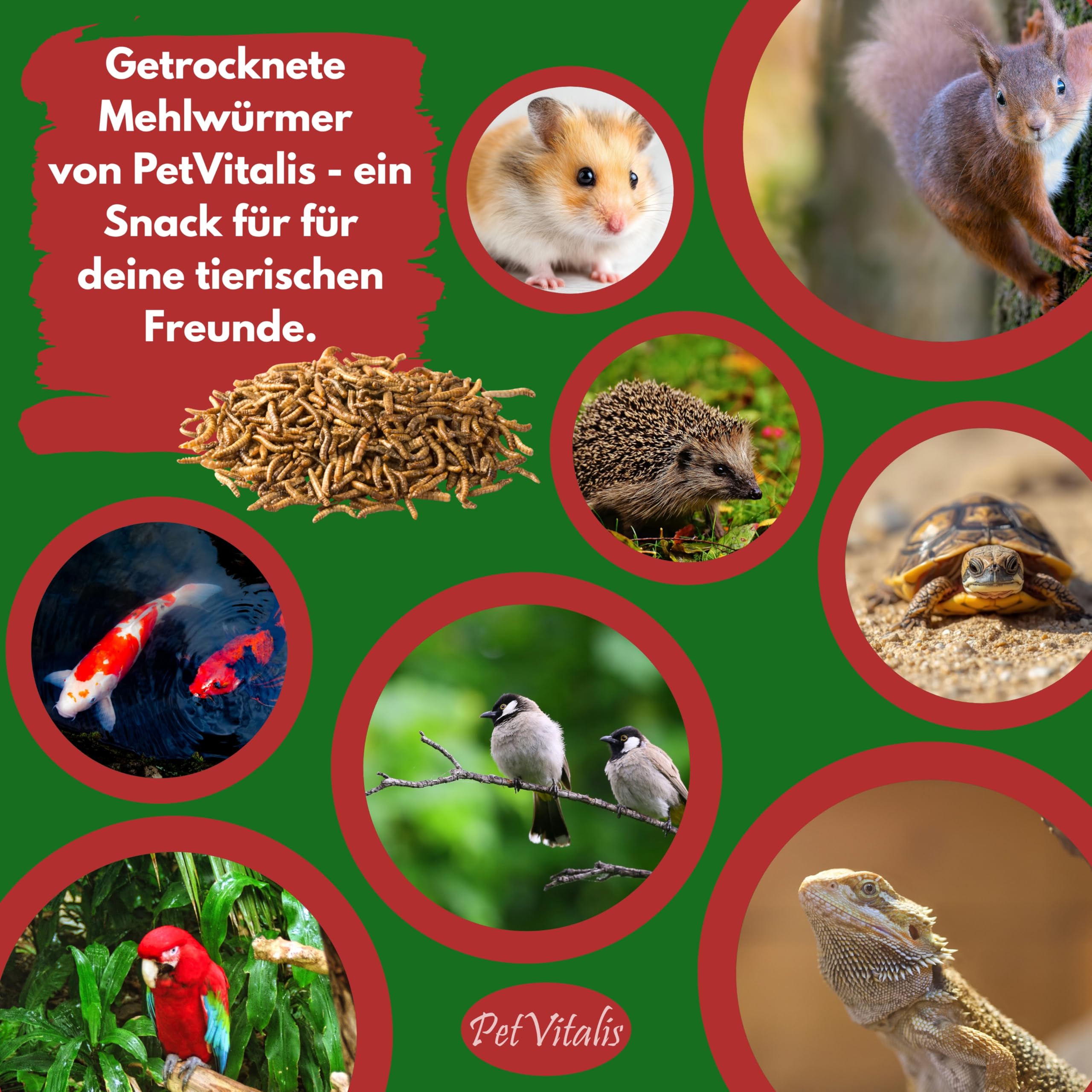 Mehlwürmer getrocknet 5 kg – Premium Einzelfuttermittel für Wildvögel, Ergänzung zum Vogelfutter – Proteinreicher Snack für Fische, Reptilien & Nager – Ganzjahresfutter für Igel & Eichhörnchen