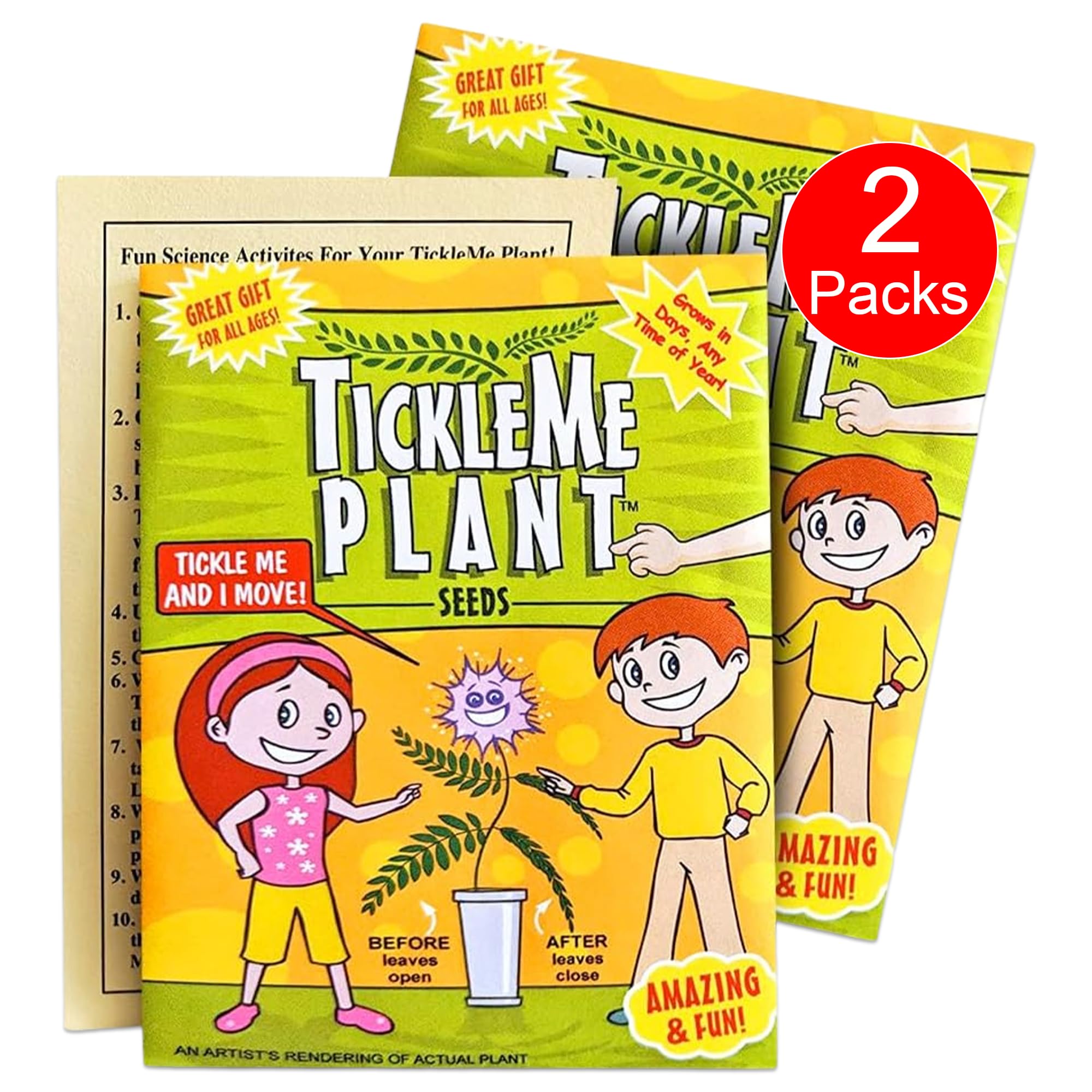 TickleMe Plant Seeds for Indoor Planting (2-Pack) – Touch-Sensitive Plant That Closes Leaves When Touched – Easy Indoor House Plant Seeds – Fun Educational Activity for Kids & Adults