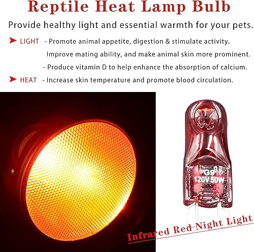 Miniatura 2 de ExoRepti Bombilla de calor para reptiles, luz nocturna roja infrarroja, bombilla de calentamiento para reptiles para lagarto, tortuga, dragón