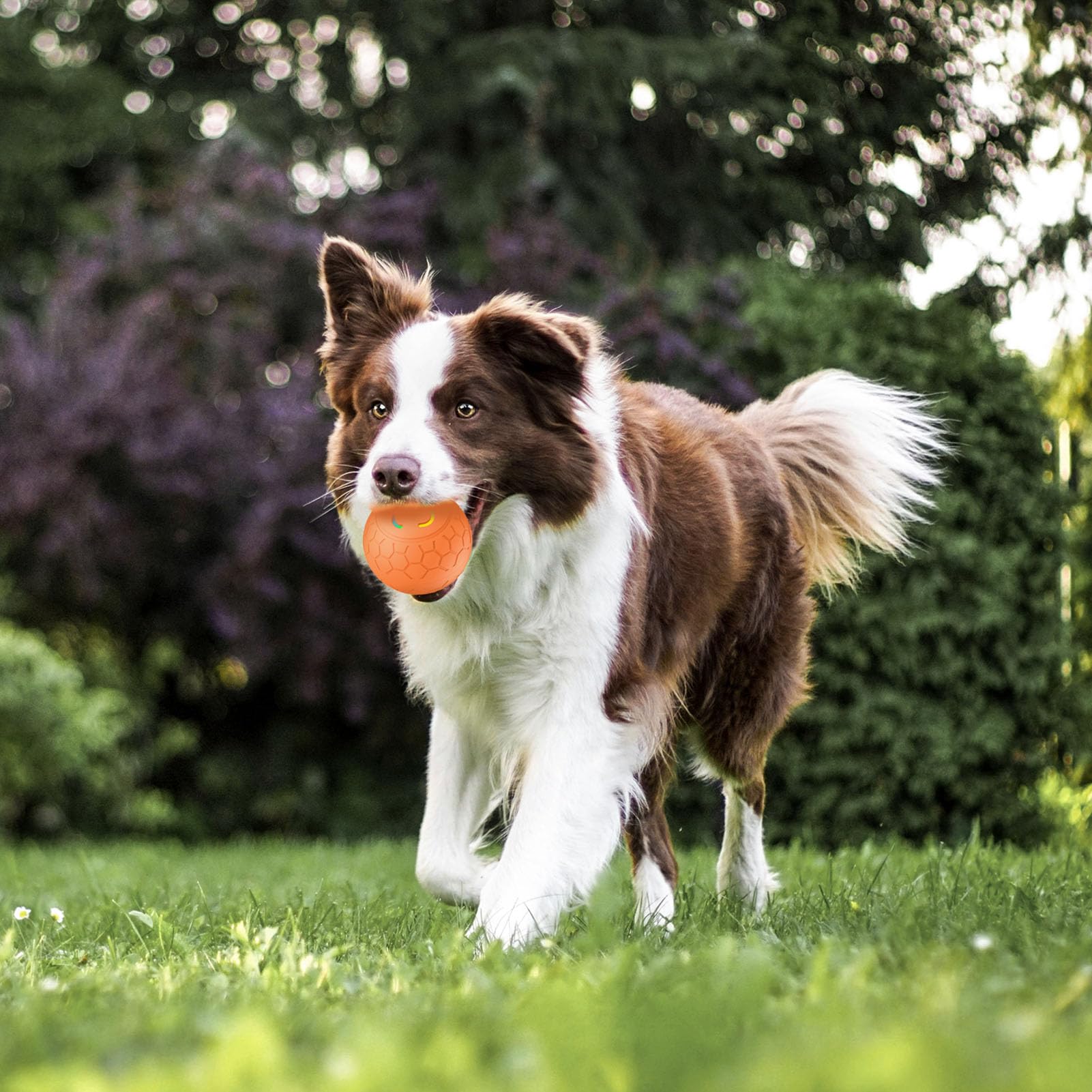 Irishom Palla Giocattolo per Animali Domestici - Giochi Interattivi per Cani Jolly Ball Palla da Pastore per Cani - Design a Doppia modalità Resistente e Sicura Porta di Ricarica Impermeabile IP54