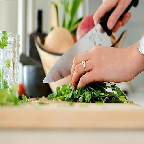 Miniatura 6 de Slow Bolt - Semillas de jardín de hierbas de cilantro, 1 onza, sin OMG, reliquia, orgánicas, semillas de jardinería de hierbas y microverdes