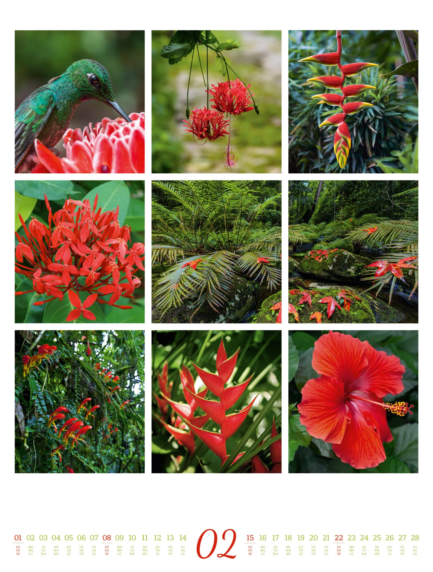 Inspiration Natur Kalender 2026 | Vielfältiger Natur-Kalender im großen Hochformat (50x66 cm) | Mehrteilige Bildmosaike im Triplet-Stil