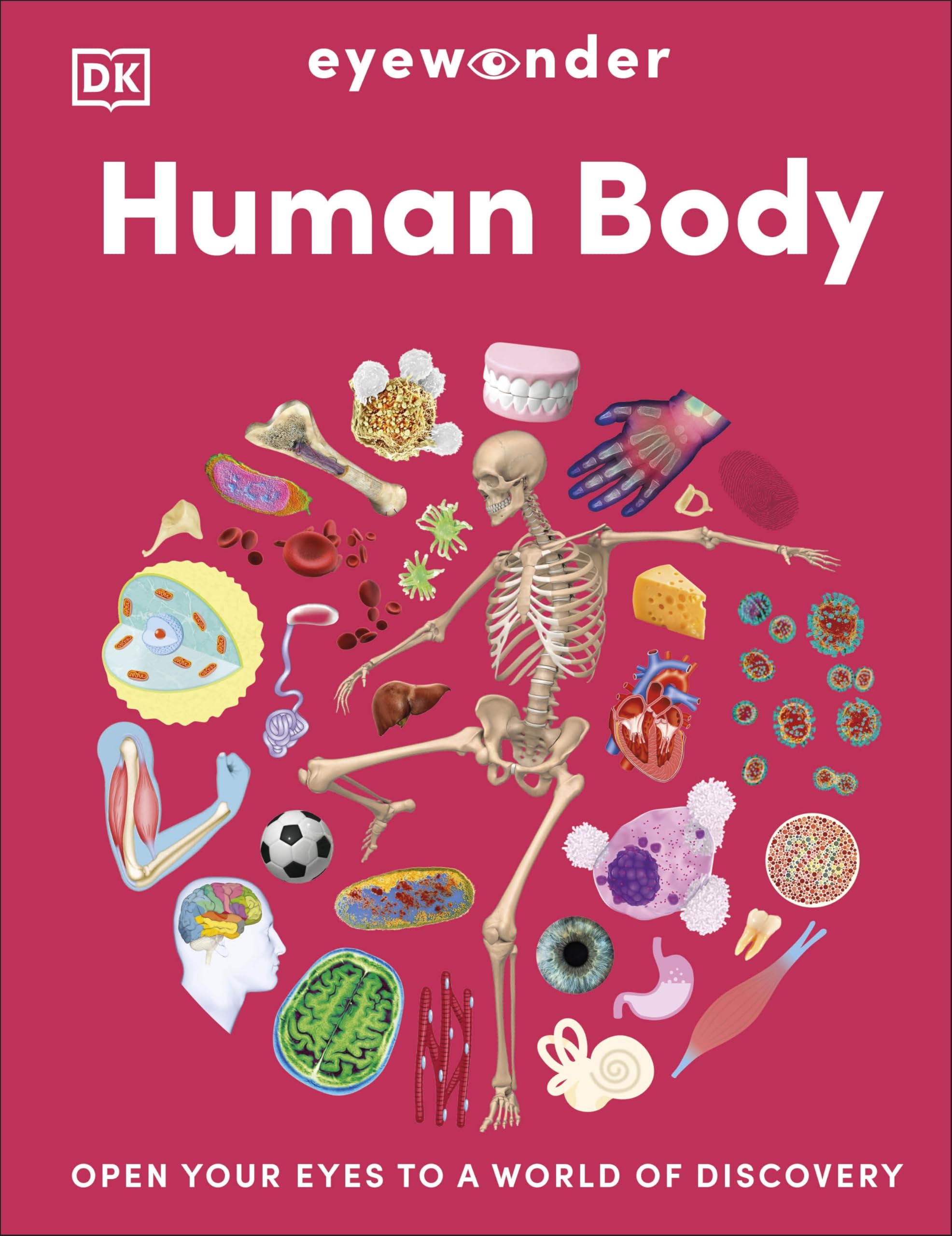 Eyewonder Human Body: Open Your Eyes to a World of Discovery