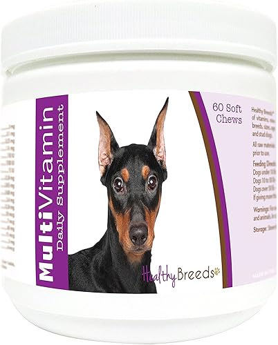 Miniatura 177 de Healthy Breeds Multivitamínico siberiano Husky para perros, suplemento diario recomendado por veterinarios, sabor a tocino, 60 masticables suaves