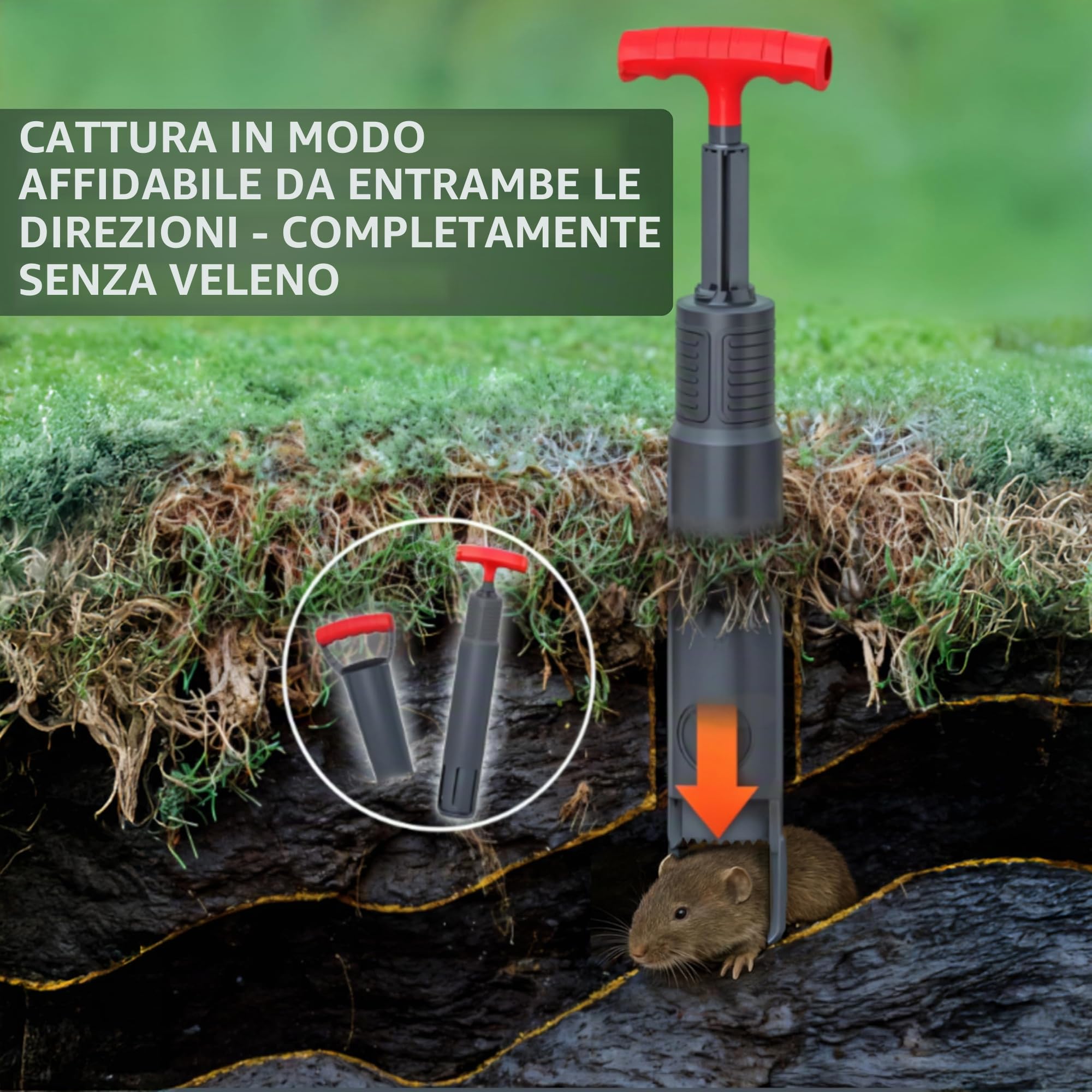 Trappola per arvicole V1, atossica e riutilizzabile, efficace trappola in plastica per arvicole, topi da cesoia in giardino, trappola per arvicole, trappola per mouse, Vole Trap (set completo