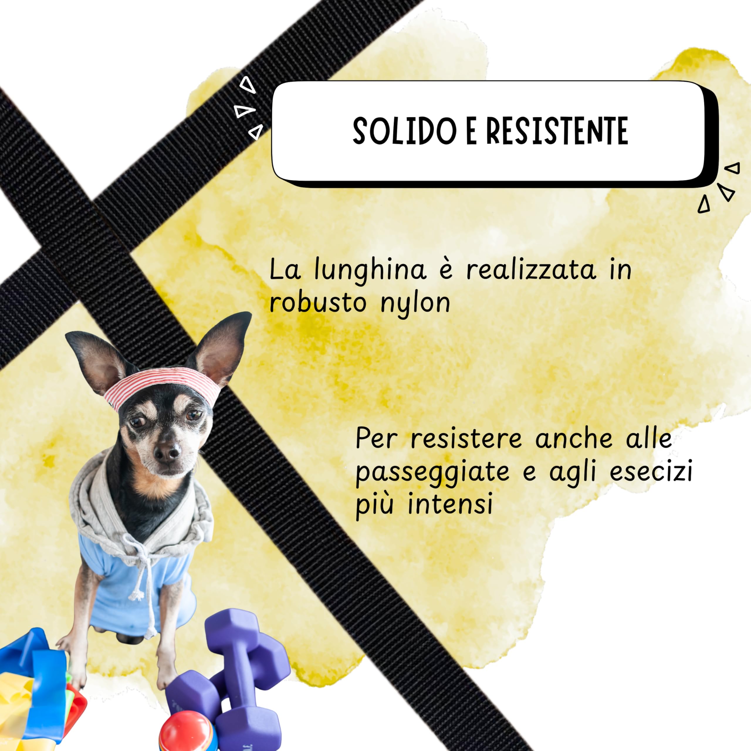 Lunghina Cane 10 Metri in Nylon Resistente – Guinzaglio Addestramento per Cani con Moschettone Girevole Antigroviglio - Nero