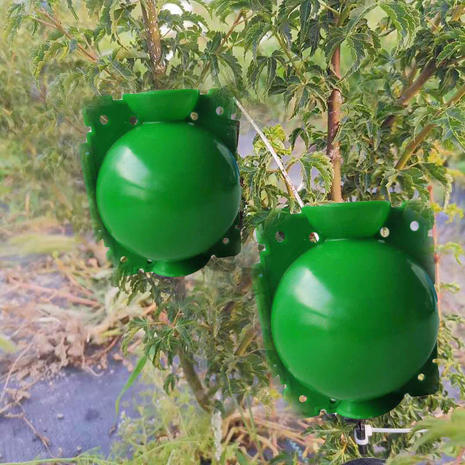Lot De 3 Pots à Boules Réutilisables Pour Enracinement Plantes - Propagation Haute Pression