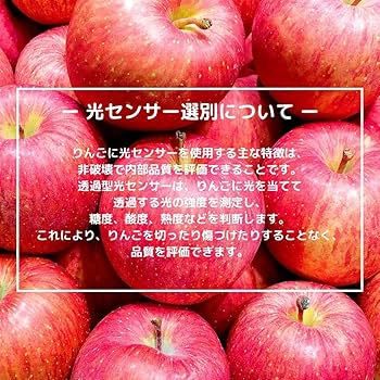 りんご^ - ^ ② Amazon.co.jp: 【光センサー選別品】 りんご 訳あり ご家庭用 キズあり