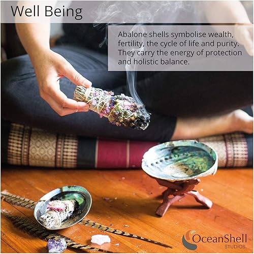 Miniatura 3 de Ocean Shell Studios. Concha natural de abulón
