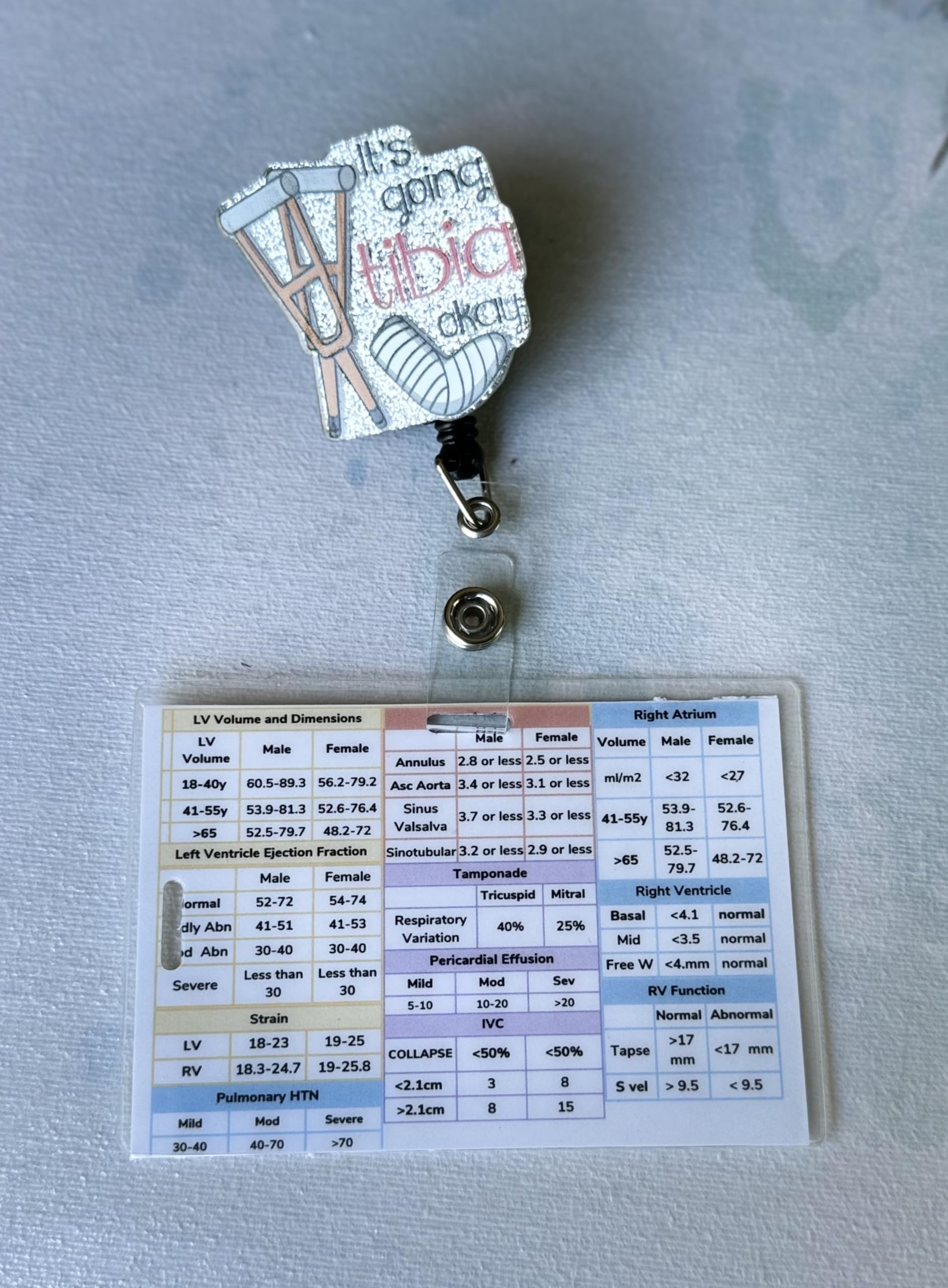 Echo Badge Guide - Quick Reference & Cheat Sheet - Guidelines