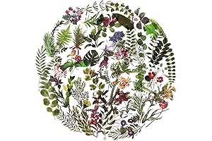 MAXLEAF Transparent Nature Flower Stickers