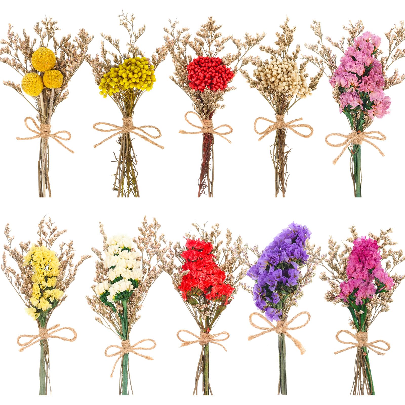 VAIPI Dried Flower Bouquets 10 Pack