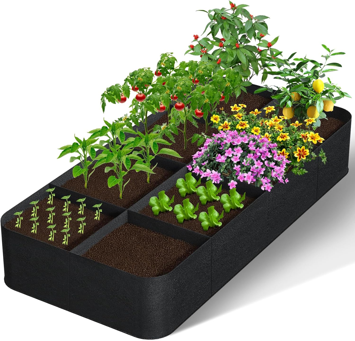 GREANER Fabric Raised Garden Bed, 6x3FT-8 Grid Garden Bed to Grow Vegetables, Heavy Plant Grow Bags for Growing Vegetables Flowers Herbs Fruits Potatoes