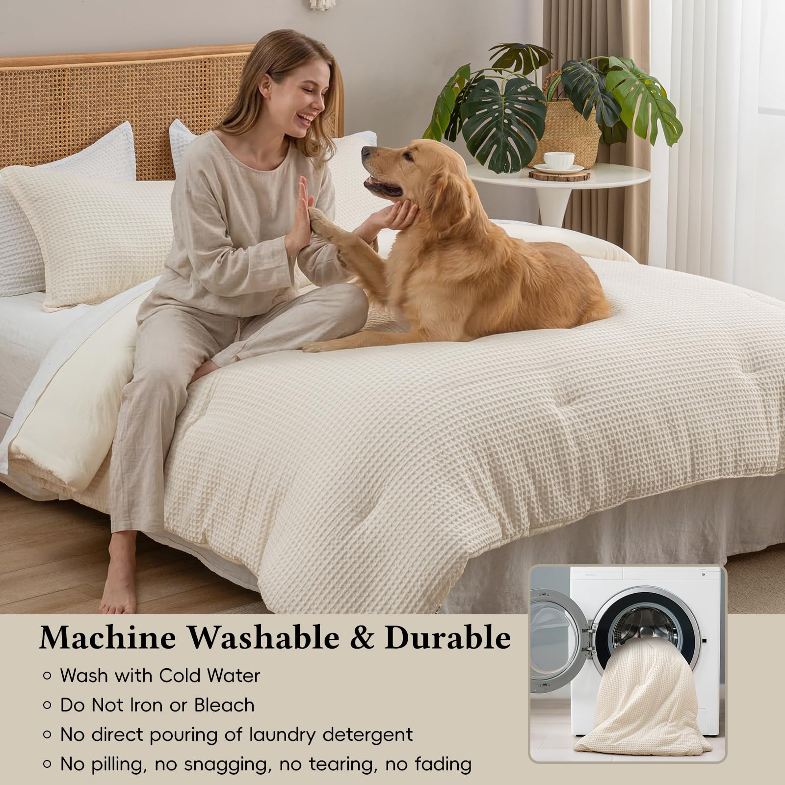https://m.media-amazon.com/images/I/81LK43cJIwL.jpg