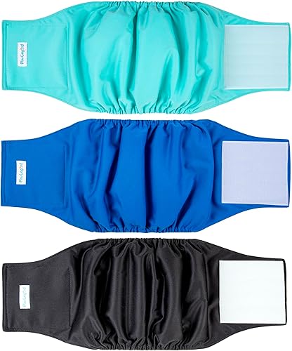 Paw Legend - Pañales lavables para perro macho (3 unidades), L