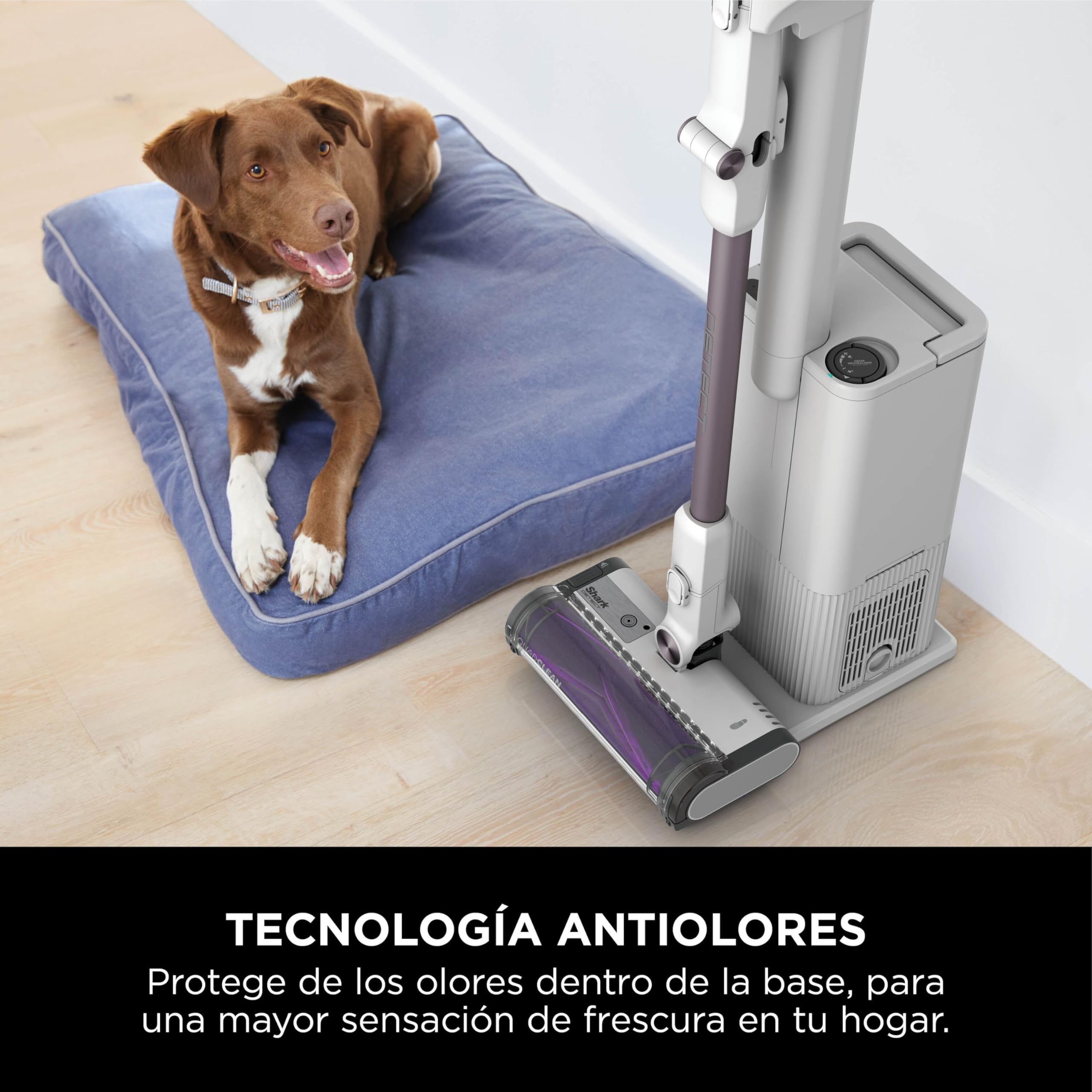 Shark Detect Clean & Empty, Aspiradora sin Cable y sin Bolsa, IW3613EUT | Tecnología Dirt Detect y Base de Autovaciado de 2L, 60 Min. Autonomía, Anti Hair Wrap y Boquilla Estrecha y Cepillo, Blanco