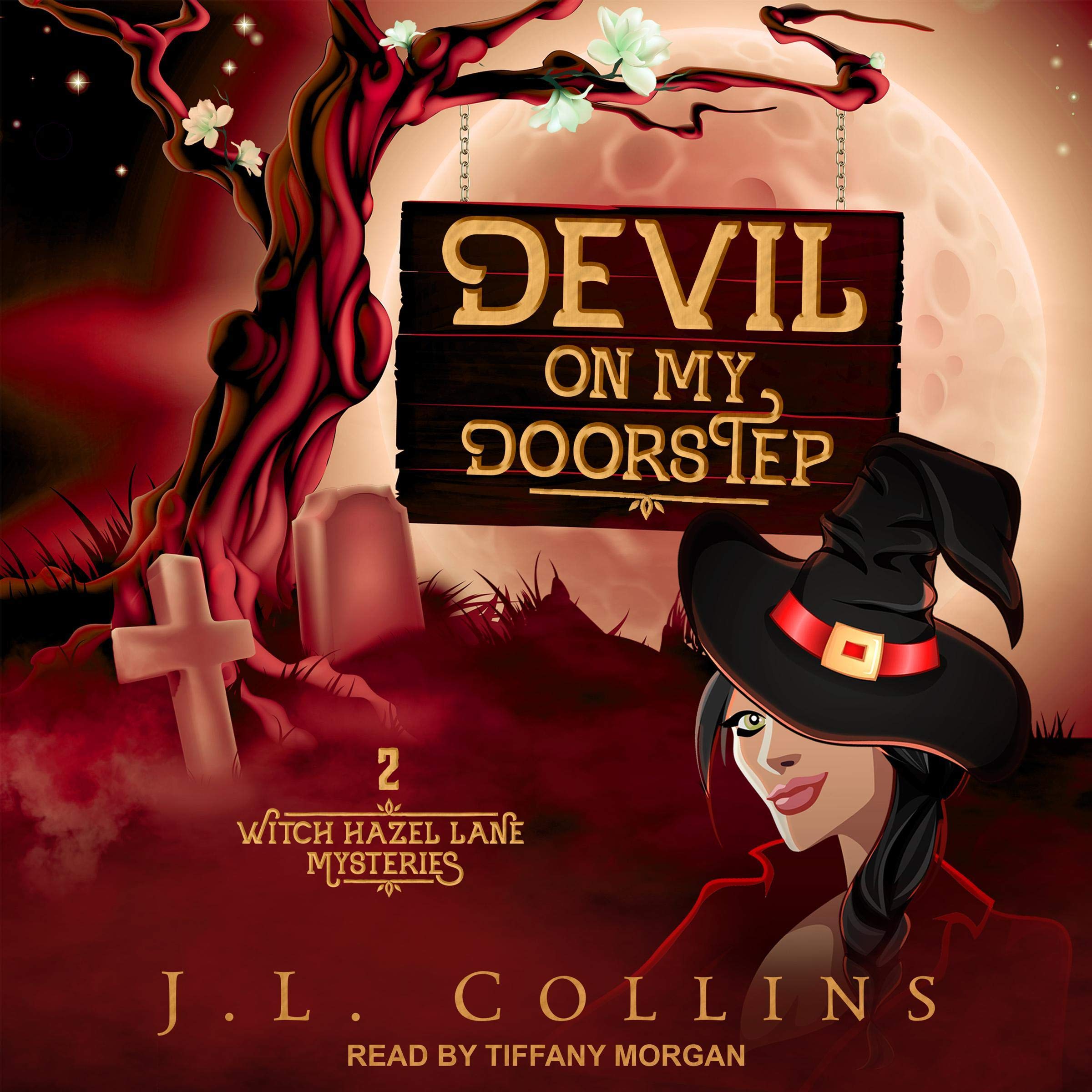 Cover art for Devil on My Doorstep